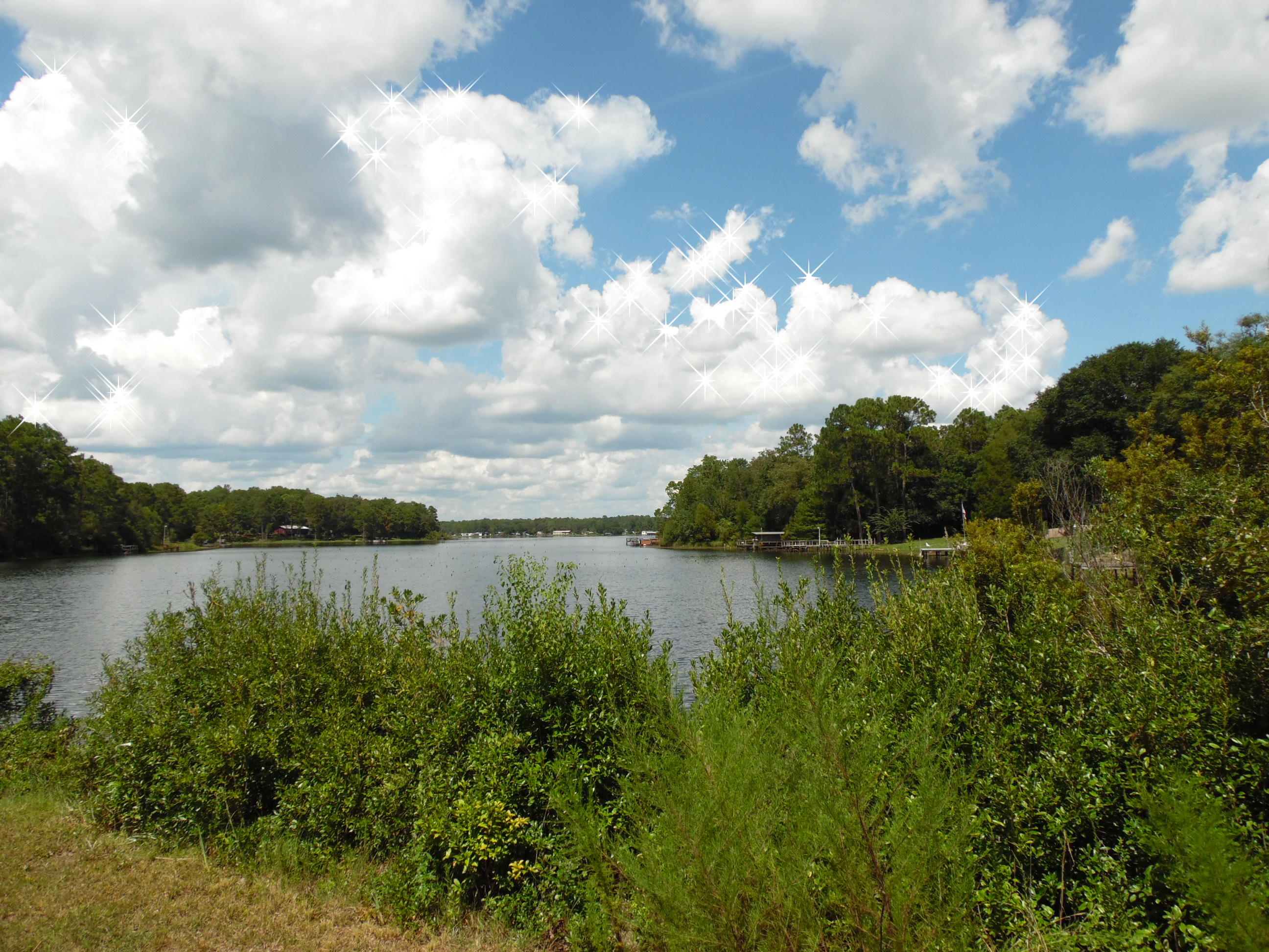 Beautiful large waterfront lot on the Kings Lake with approx.. 151' on the water (subject to a up-to-date survey) it is the perfect retreat area or a place to put your dream home. Lot has a full set-up-- water tap, power pole and septic. This lot has large beautiful trees on the lot. There is a legal easement driveway from the interior lot above this waterfront lot down to the lot or you can stop on the side of the lot to view the property....the view is beautiful up the channel...Best fishing ever at the dam.