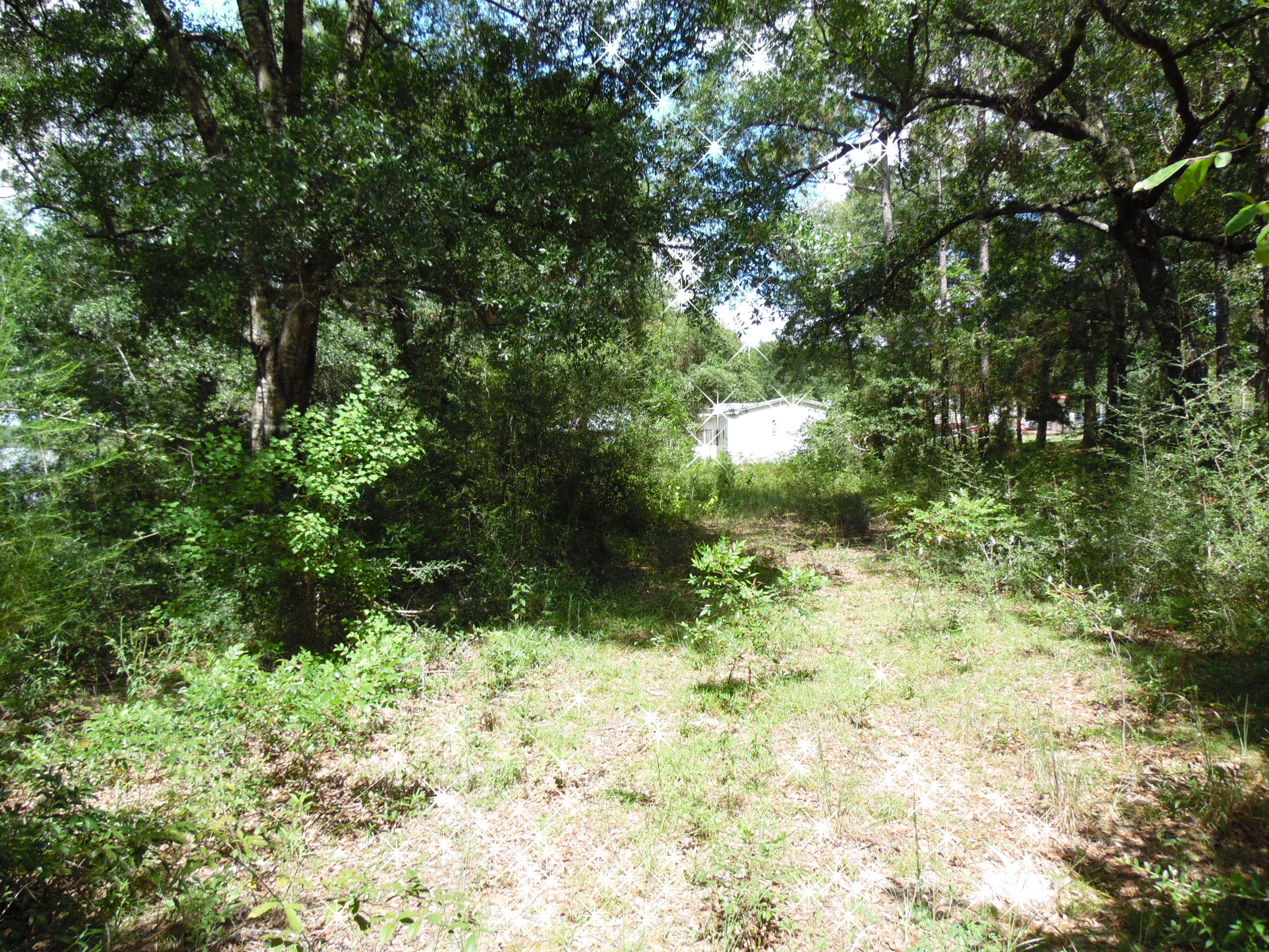 LOT 1 PIPERS LANDING S/D AND LOT 1A UNRECD Plat OF PIPERS LANDING - Land