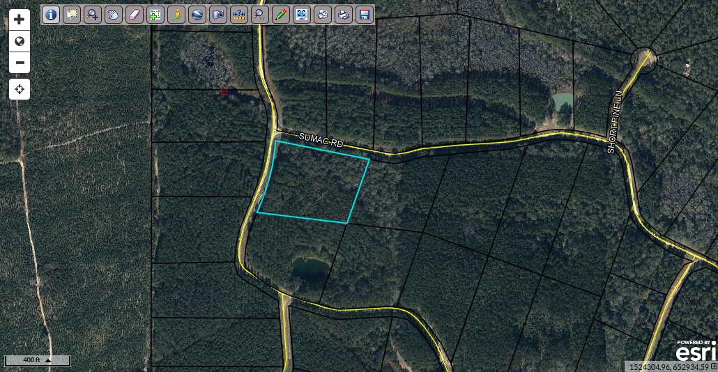 REEDY CREEK CROSSING S/D - Land