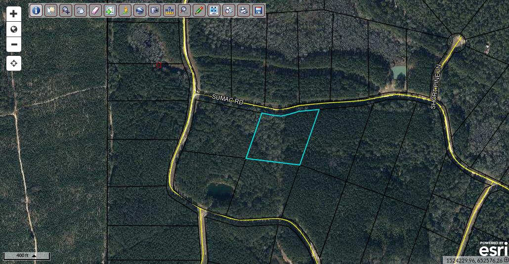 REEDY CREEK CROSSING S/D - Land