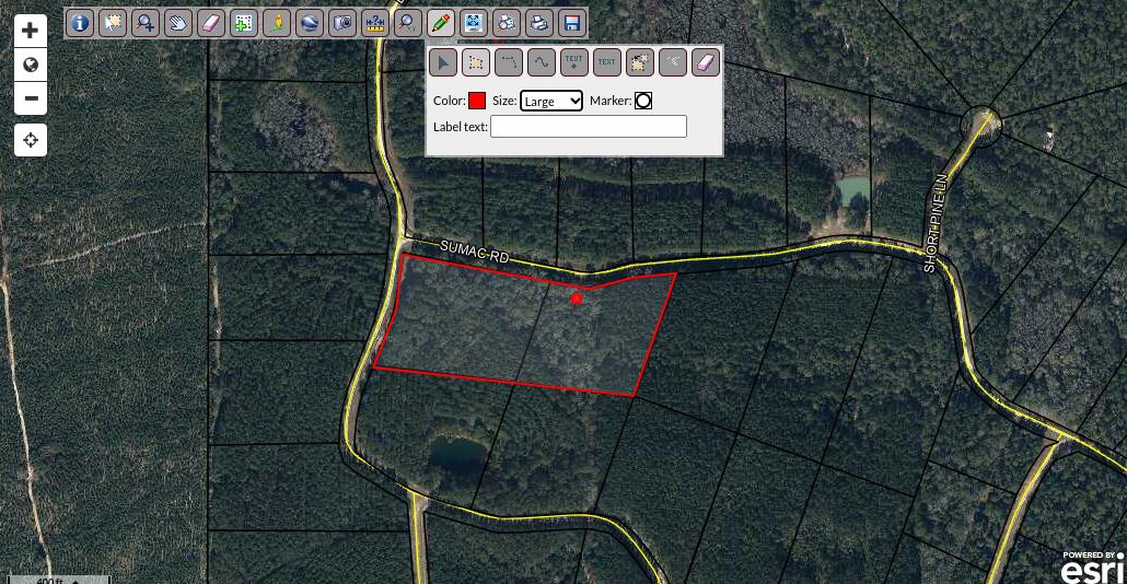 REEDY CREEK CROSSING S/D - Land