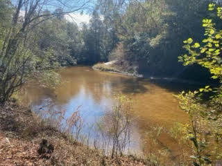 Approx. 41.2 ± acres offering a natural setting for recreational enjoyment. This wooded parcel supports activities such as private deer hunting, fishing, trail wandering, relaxed weekend retreats, outdoor gathering spots, and rustic camping ideas for simple family use. The property includes varied terrain with sections that may contain wetlands and areas potentially within Flood Zone A. A conservation easement is recorded and shown in the documents section. Buyer to verify all information deemed important. Shown by appointment only.