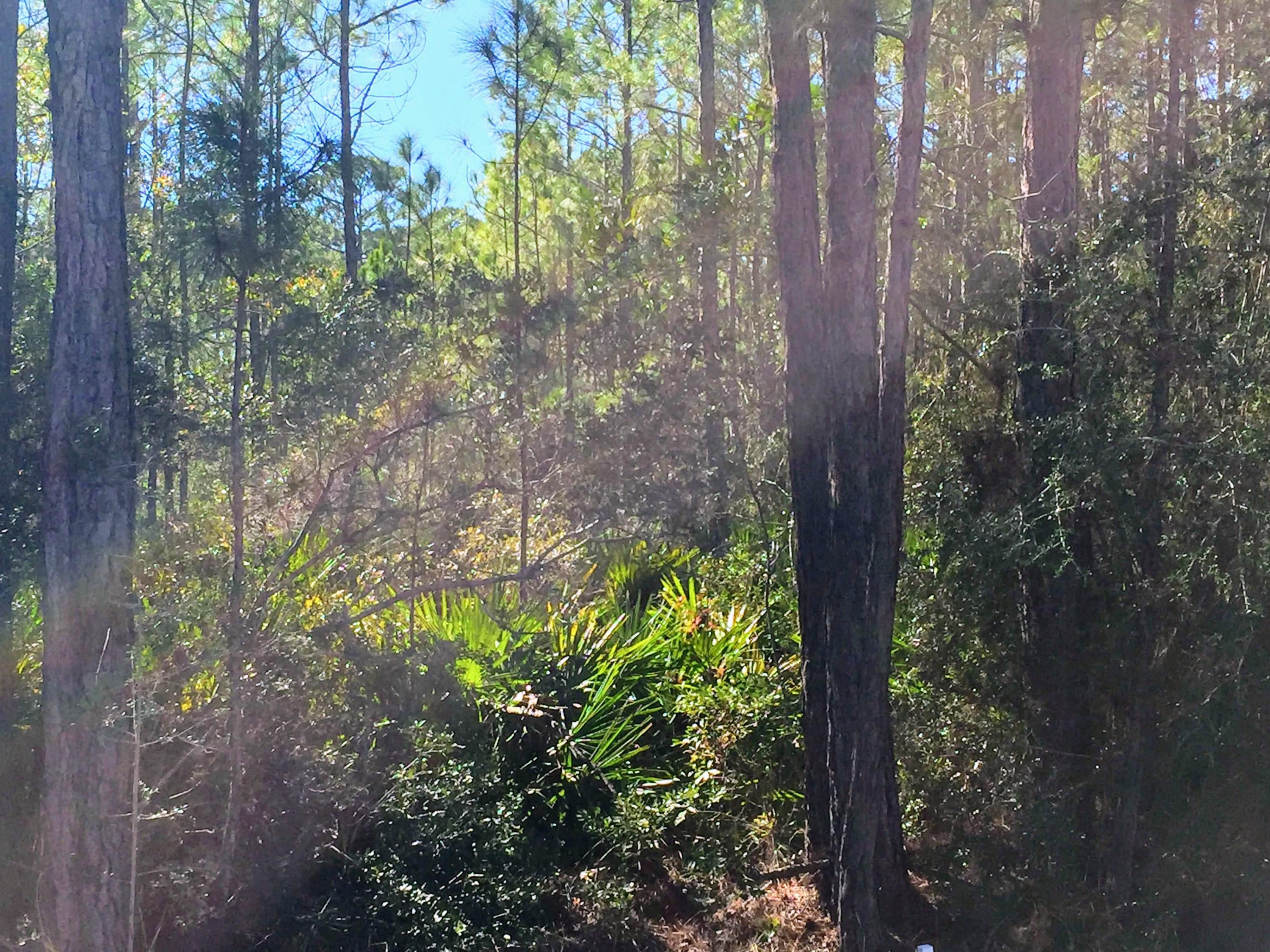 WOODLAND BAYOU ESTATES - Land