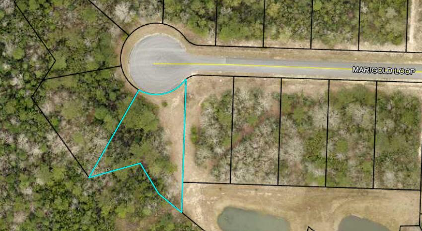 WILLOW CREEK PLANTATION - Land