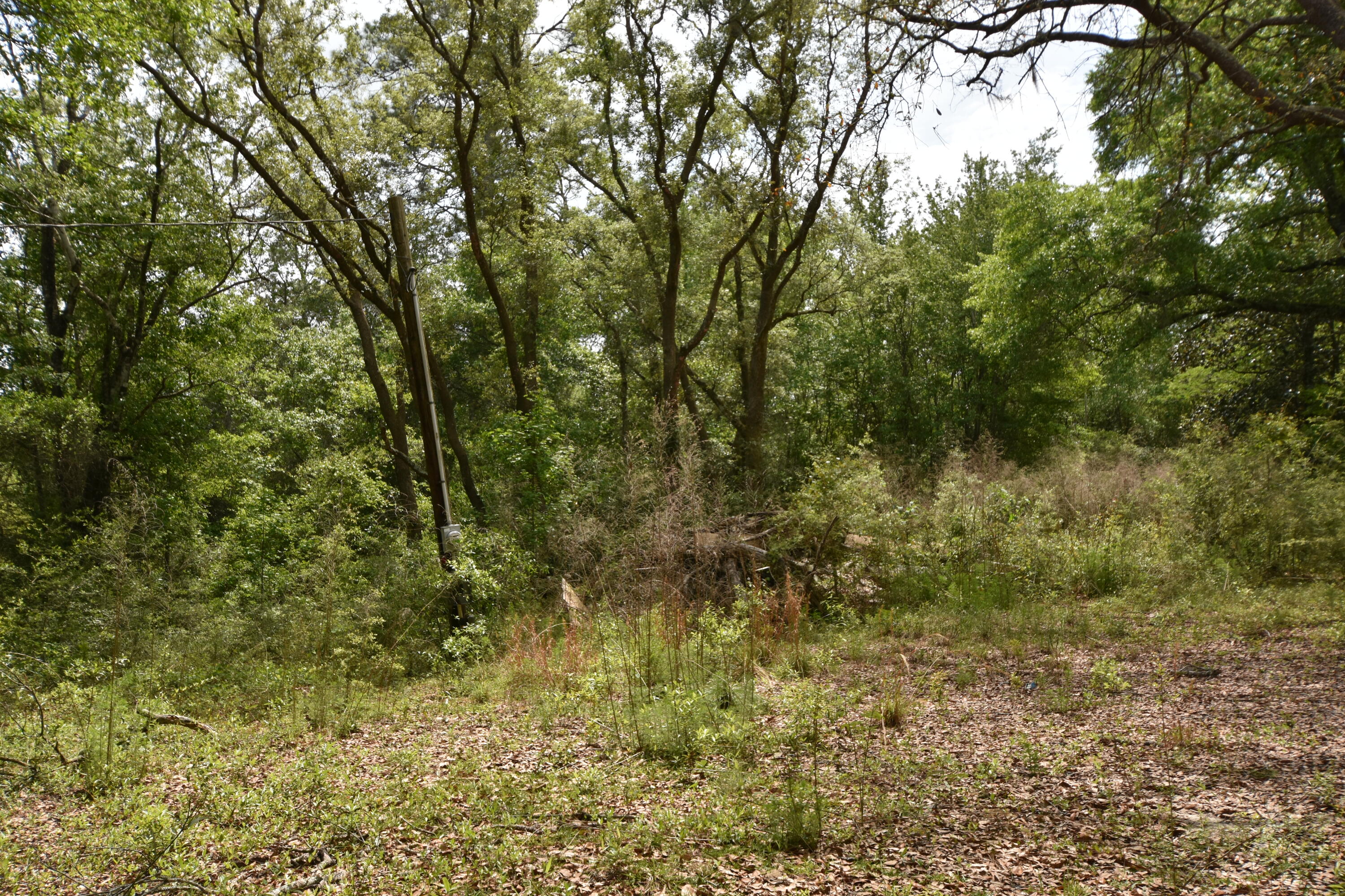 NO RECORDED SUBDIVISION
2 Parcel ID #'s:
07-2N-24-0000-0001-0240
07-2N-24-0000-0001-0370 - Land