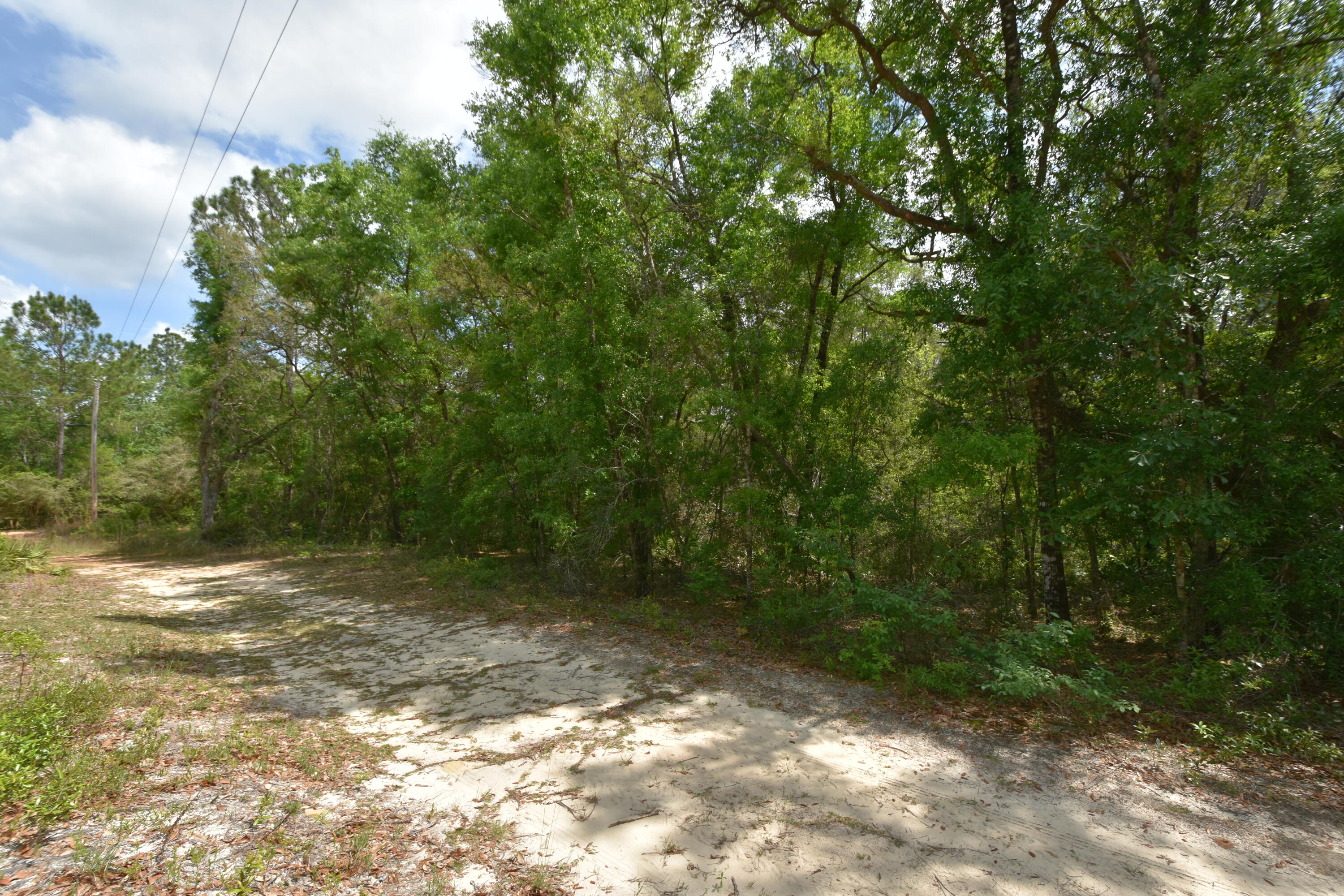 NO RECORDED SUBDIVISION
2 Parcel ID #'s:
07-2N-24-0000-0001-0240
07-2N-24-0000-0001-0370 - Land