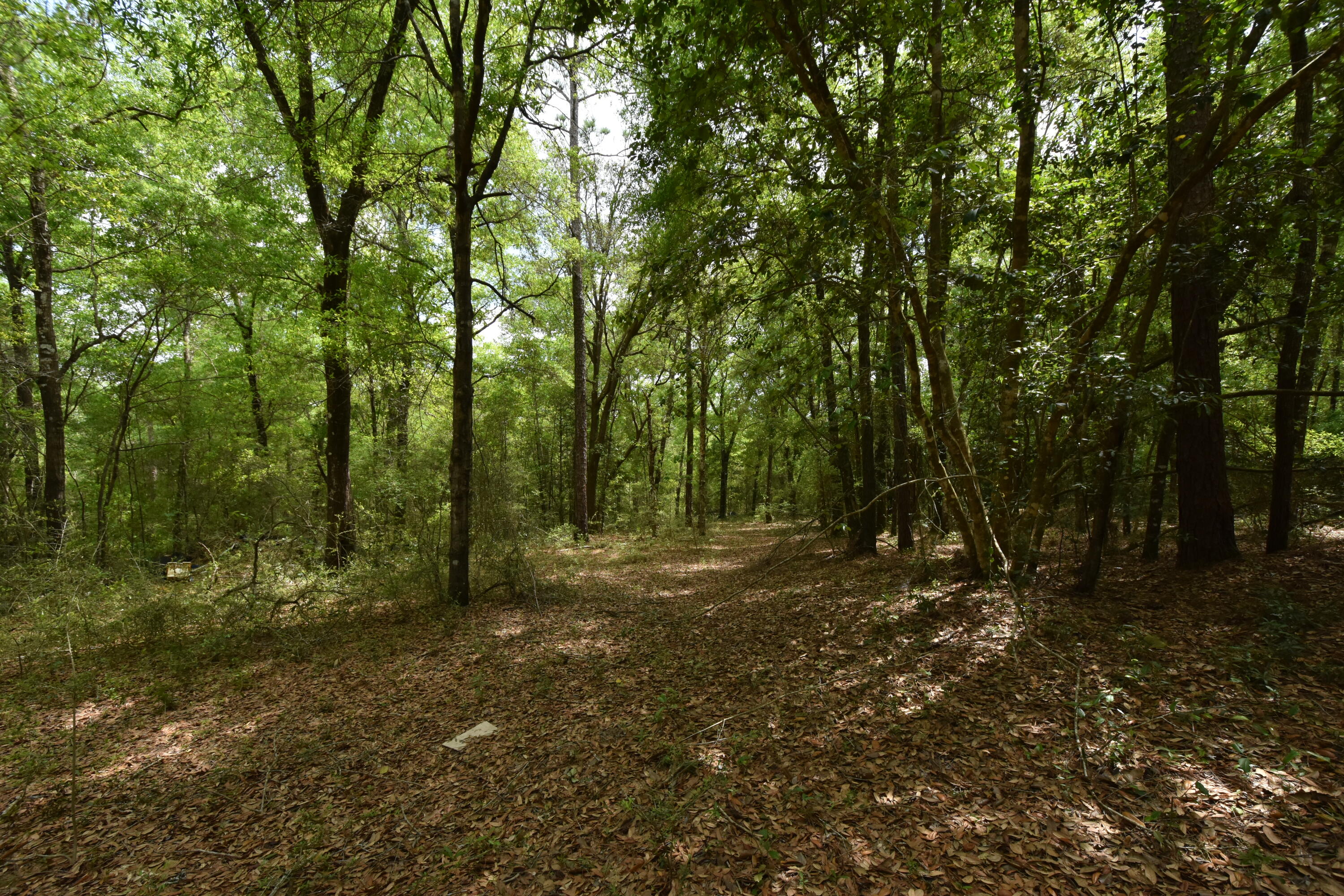 NO RECORDED SUBDIVISION
2 Parcel ID #'s:
07-2N-24-0000-0001-0240
07-2N-24-0000-0001-0370 - Land