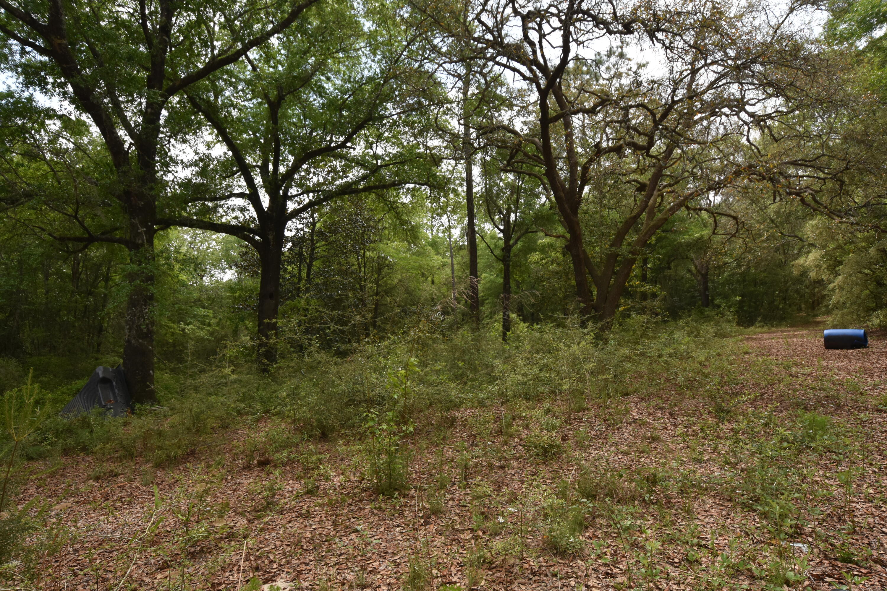 NO RECORDED SUBDIVISION
2 Parcel ID #'s:
07-2N-24-0000-0001-0240
07-2N-24-0000-0001-0370 - Land