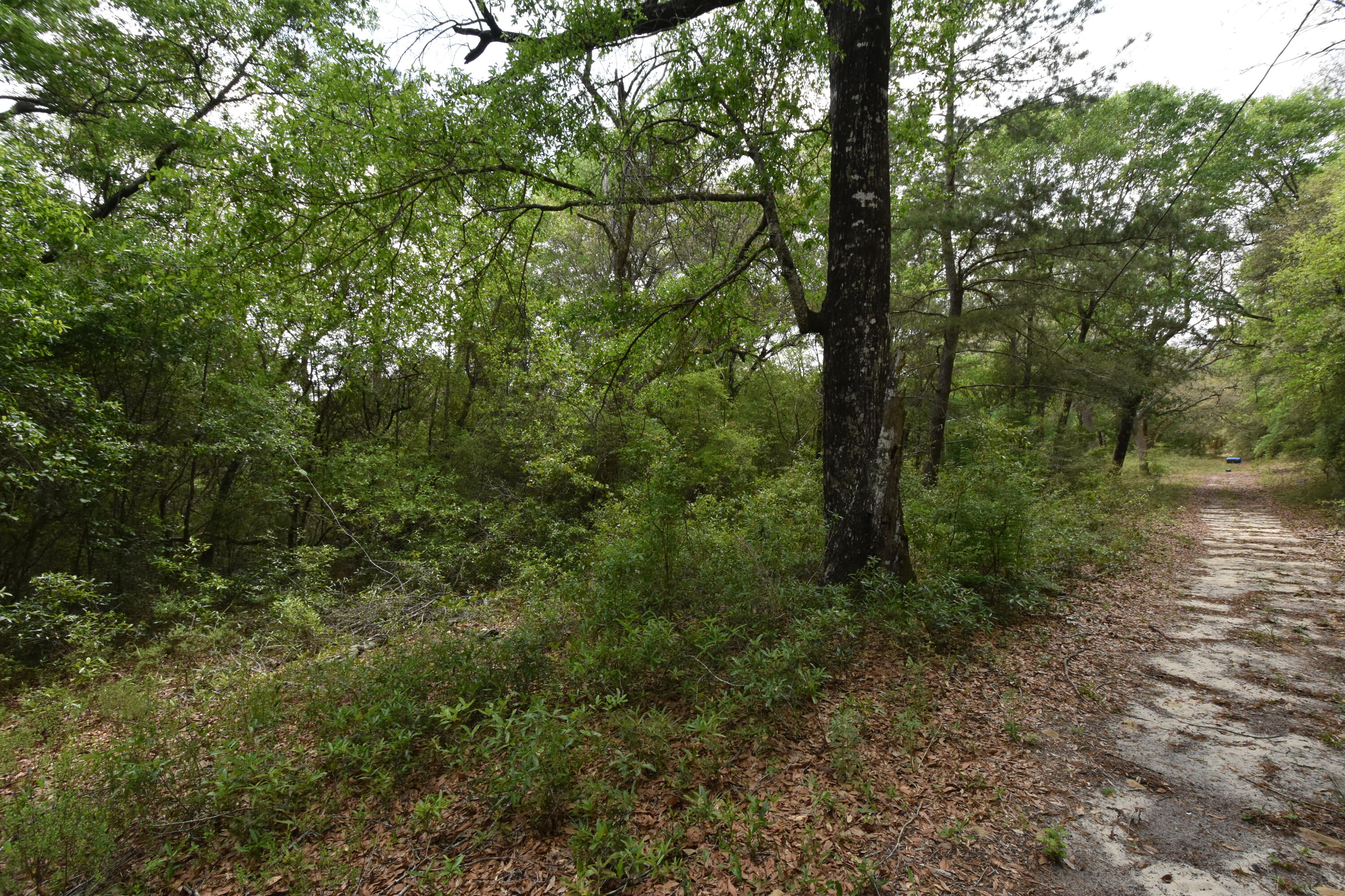 NO RECORDED SUBDIVISION
2 Parcel ID #'s:
07-2N-24-0000-0001-0240
07-2N-24-0000-0001-0370 - Land
