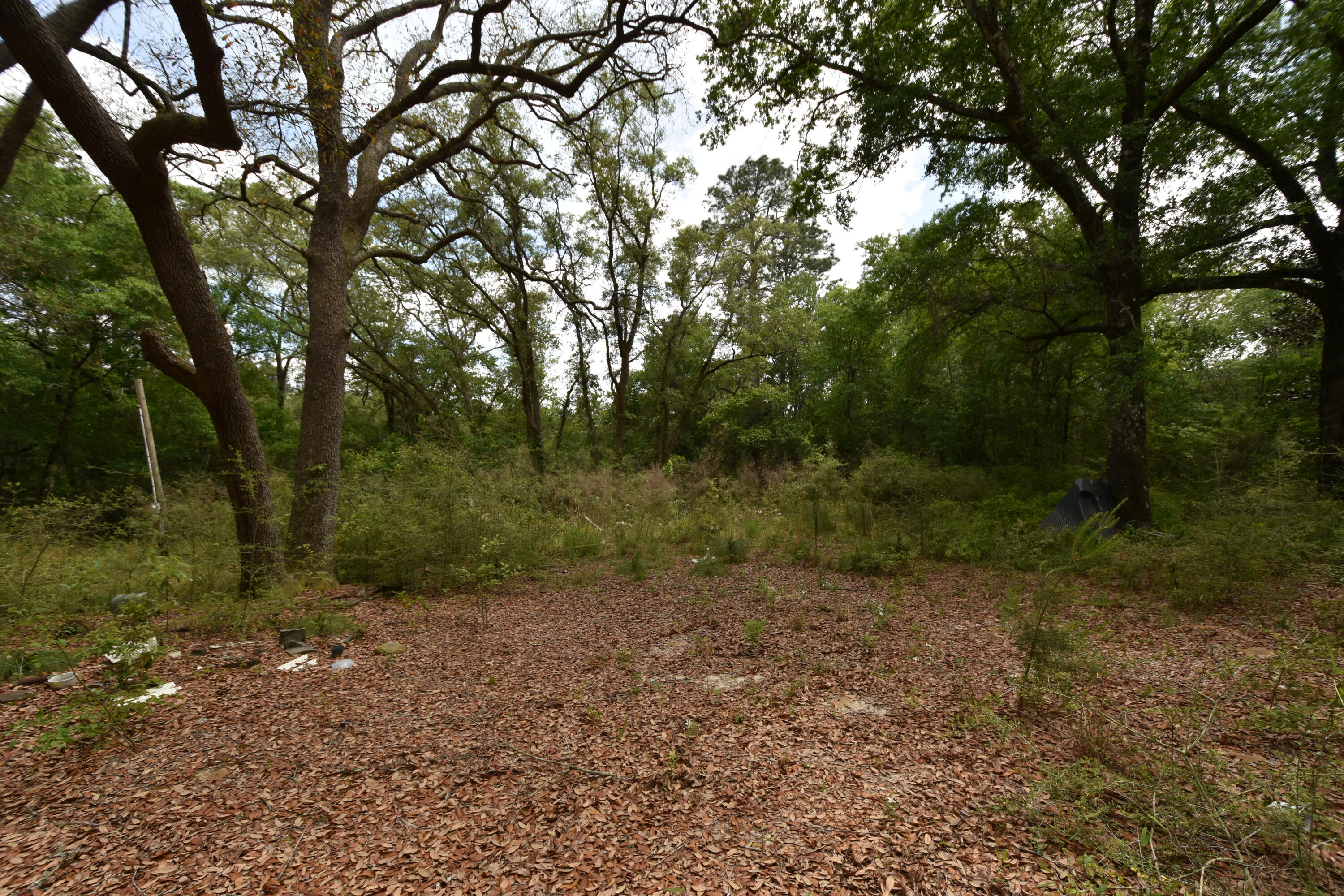 NO RECORDED SUBDIVISION
2 Parcel ID #'s:
07-2N-24-0000-0001-0240
07-2N-24-0000-0001-0370 - Land