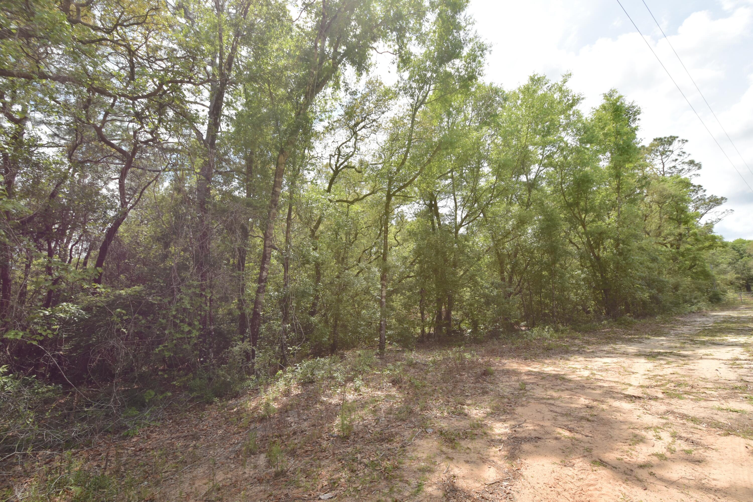NO RECORDED SUBDIVISION
2 Parcel ID #'s:
07-2N-24-0000-0001-0240
07-2N-24-0000-0001-0370 - Land