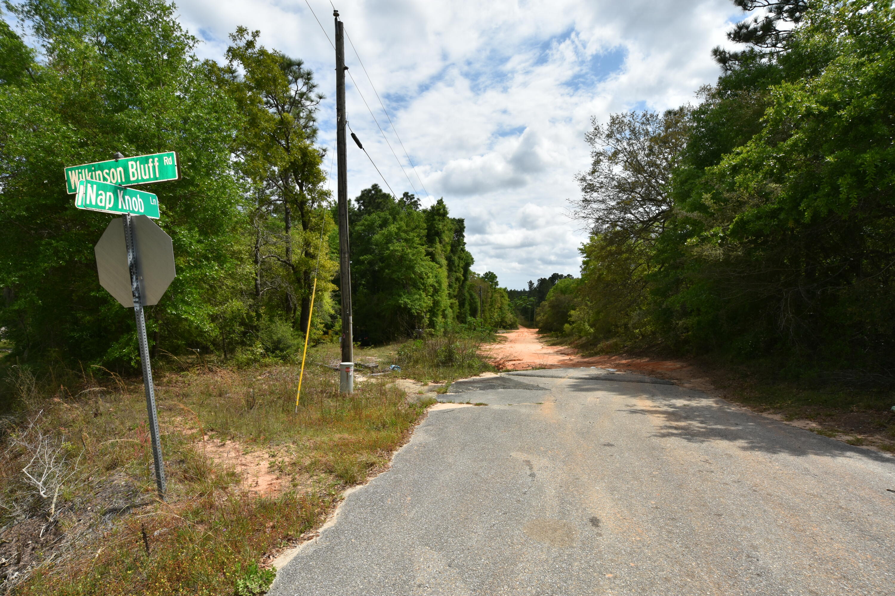 NO RECORDED SUBDIVISION
2 Parcel ID #'s:
07-2N-24-0000-0001-0240
07-2N-24-0000-0001-0370 - Land