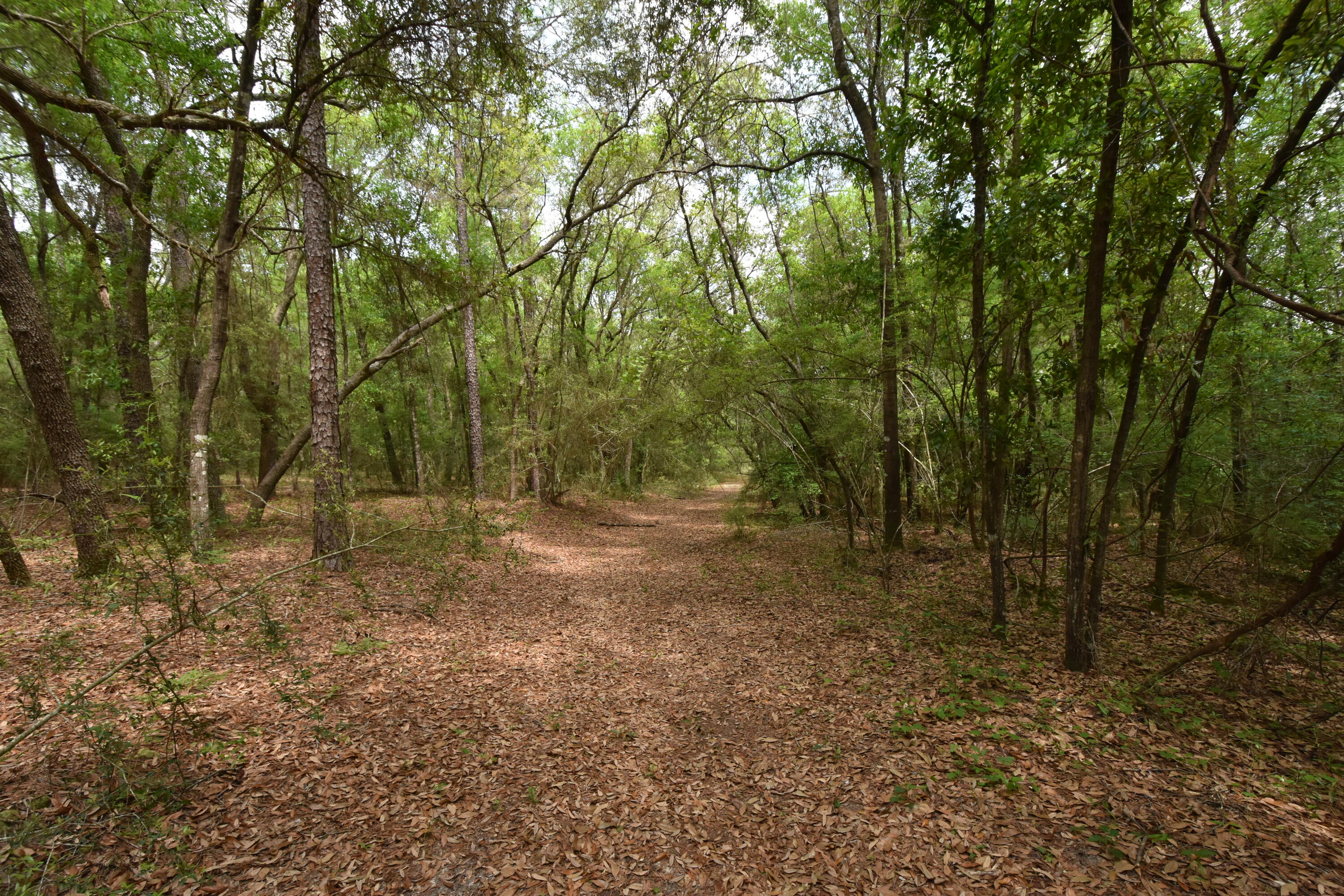 NO RECORDED SUBDIVISION
2 Parcel ID #'s:
07-2N-24-0000-0001-0240
07-2N-24-0000-0001-0370 - Land