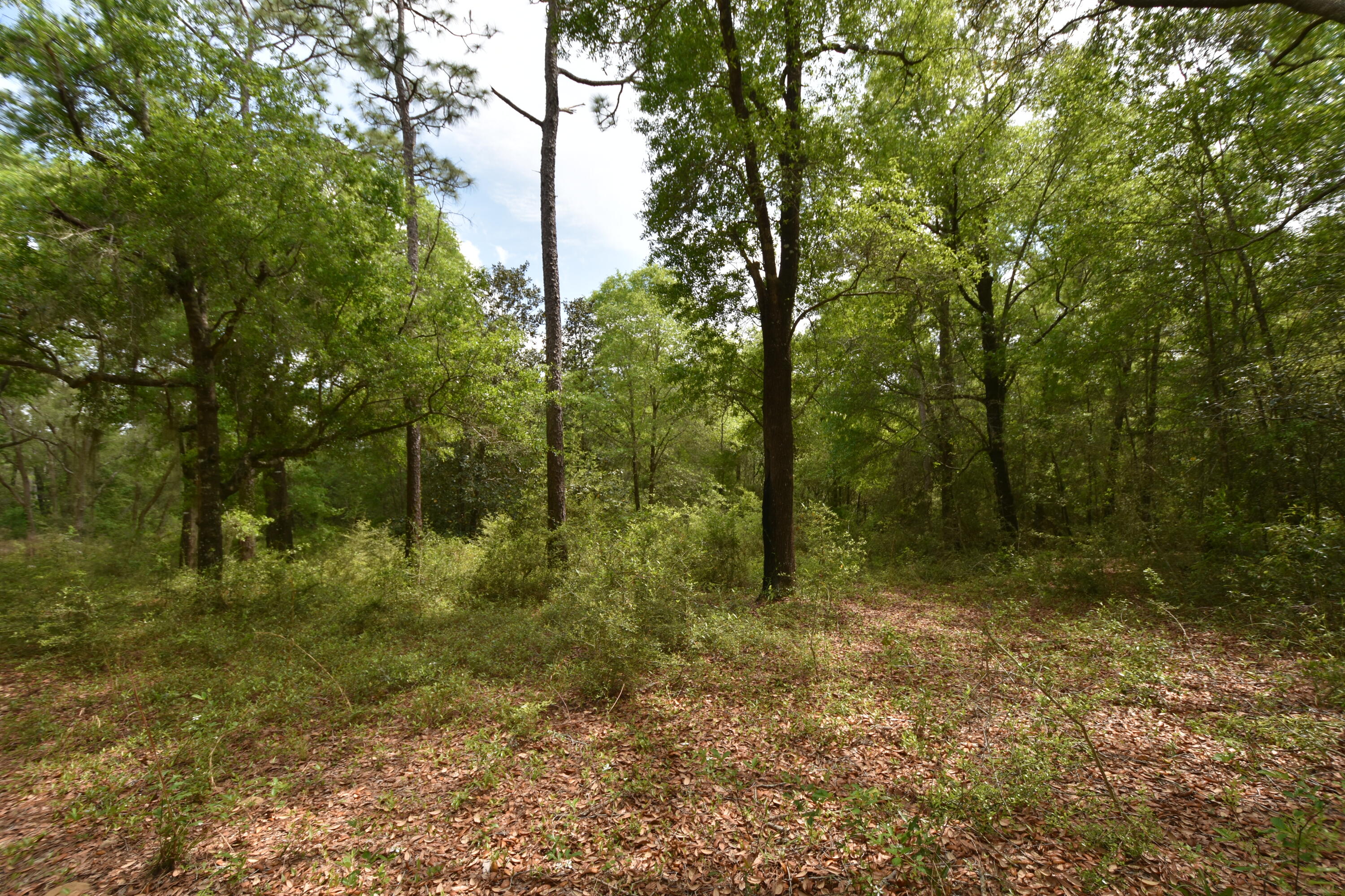 NO RECORDED SUBDIVISION
2 Parcel ID #'s:
07-2N-24-0000-0001-0240
07-2N-24-0000-0001-0370 - Land