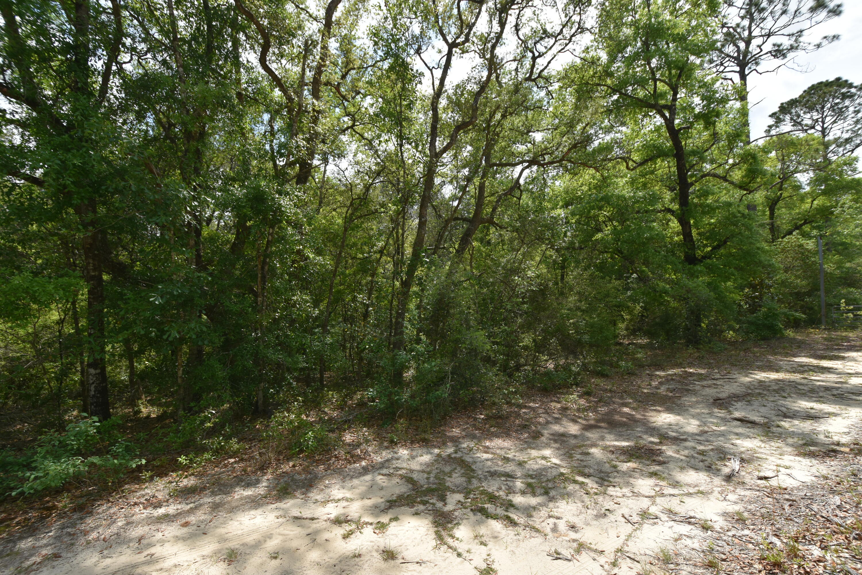 NO RECORDED SUBDIVISION
2 Parcel ID #'s:
07-2N-24-0000-0001-0240
07-2N-24-0000-0001-0370 - Land
