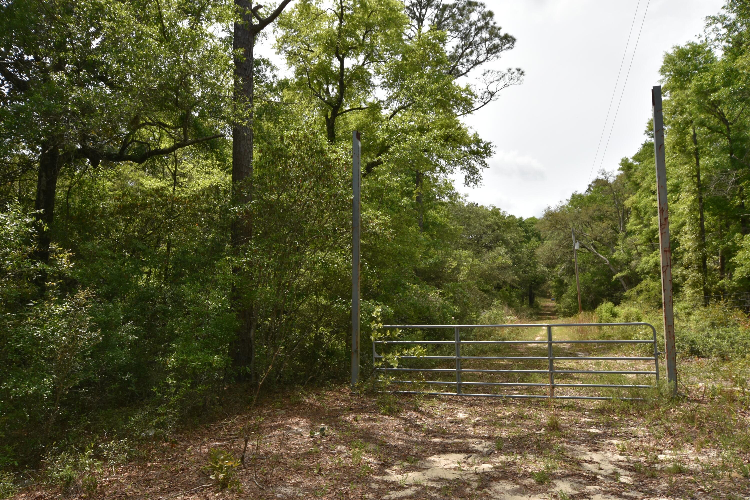 NO RECORDED SUBDIVISION
2 Parcel ID #'s:
07-2N-24-0000-0001-0240
07-2N-24-0000-0001-0370 - Land