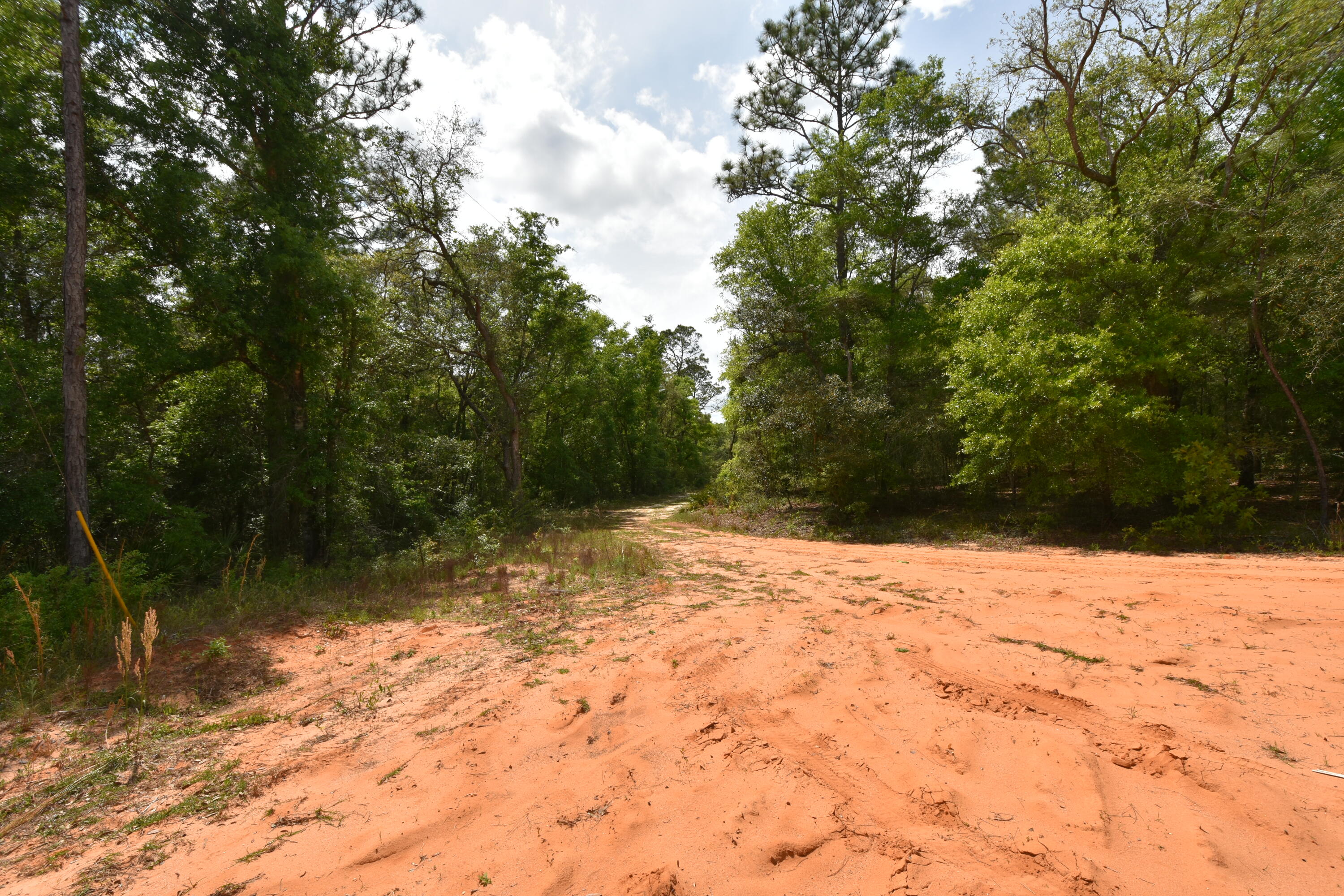 NO RECORDED SUBDIVISION
2 Parcel ID #'s:
07-2N-24-0000-0001-0240
07-2N-24-0000-0001-0370 - Land