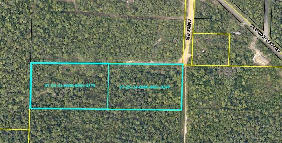 NO RECORDED SUBDIVISION
2 Parcel ID #'s:
07-2N-24-0000-0001-0240
07-2N-24-0000-0001-0370 - Land