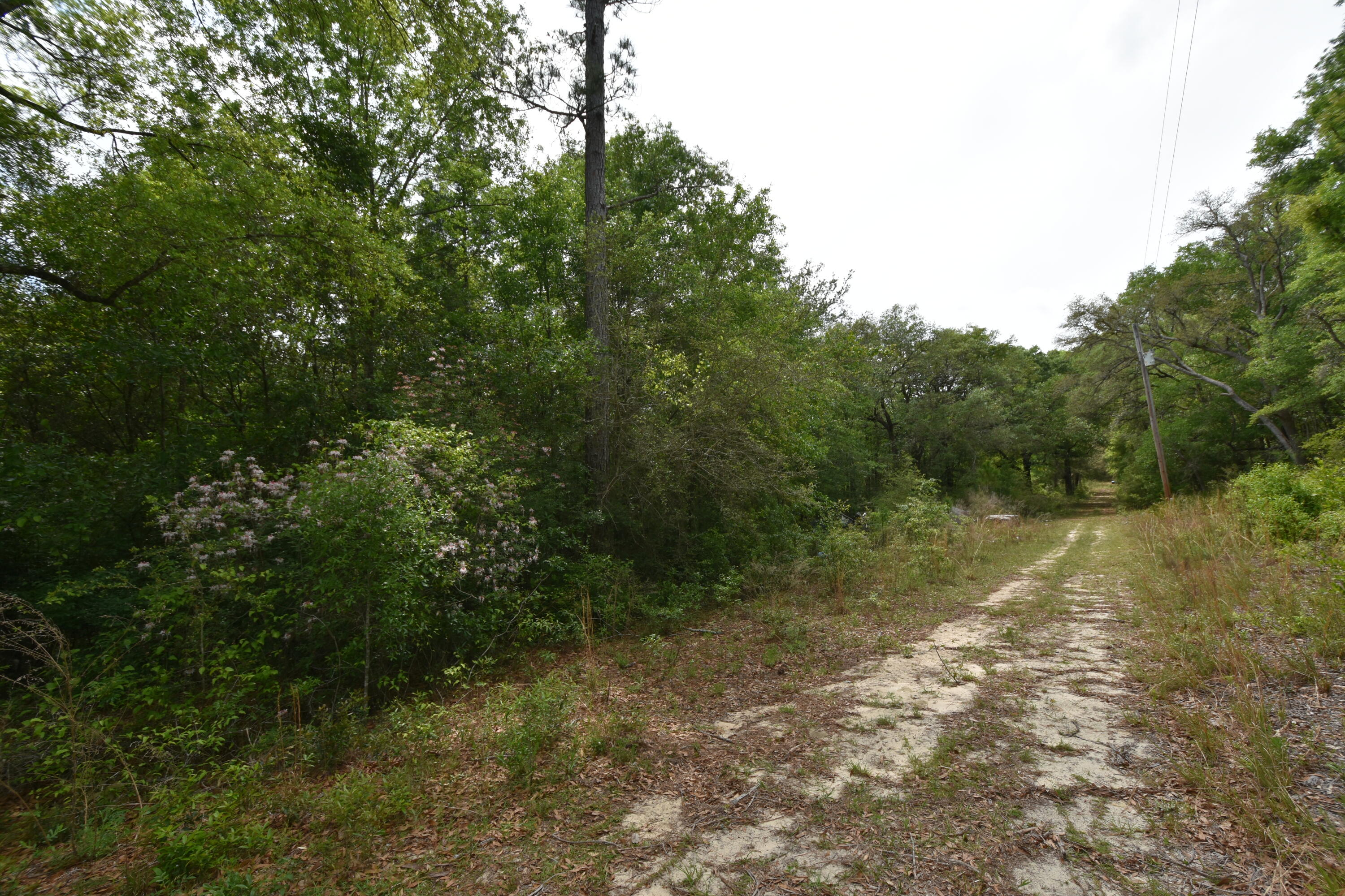 NO RECORDED SUBDIVISION
2 Parcel ID #'s:
07-2N-24-0000-0001-0240
07-2N-24-0000-0001-0370 - Land
