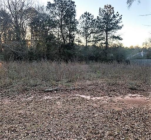 HOLLY HILLS - Land