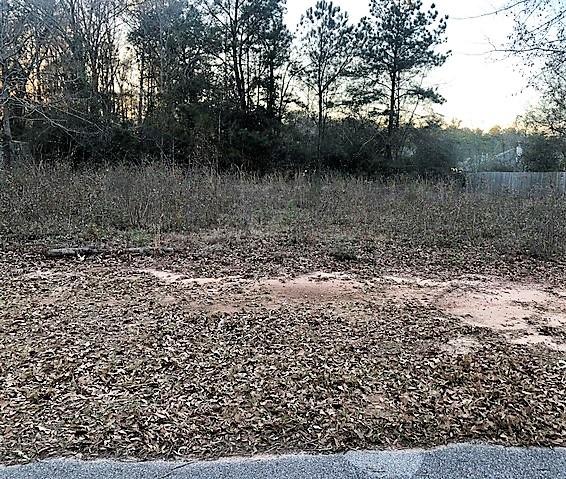 HOLLY HILLS - Land
