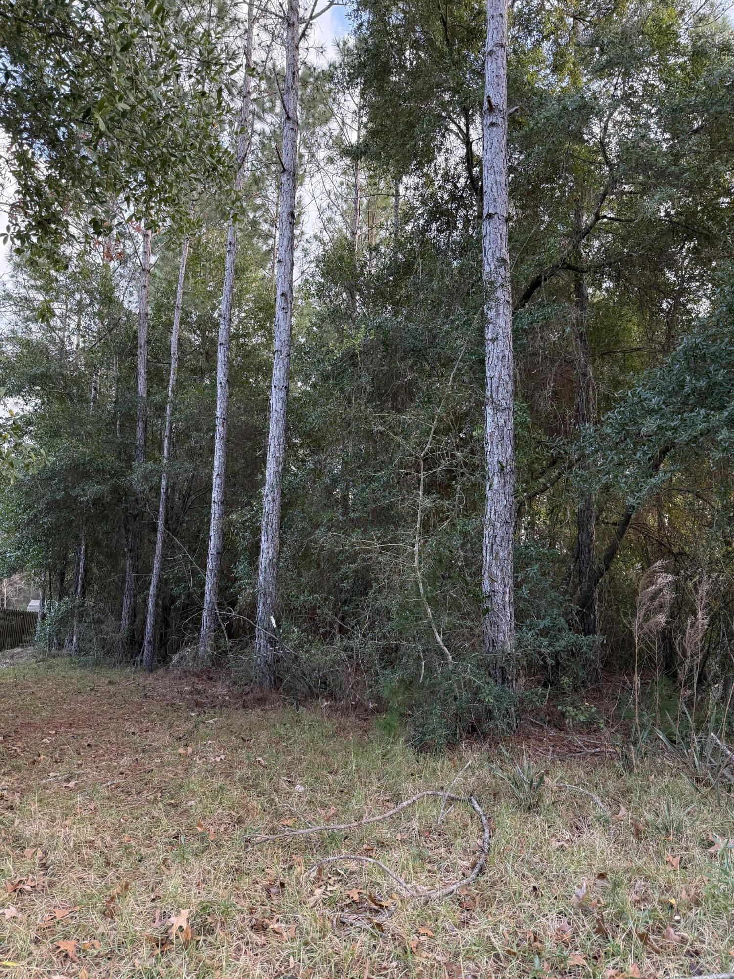 HAMMOCK BAY - Land