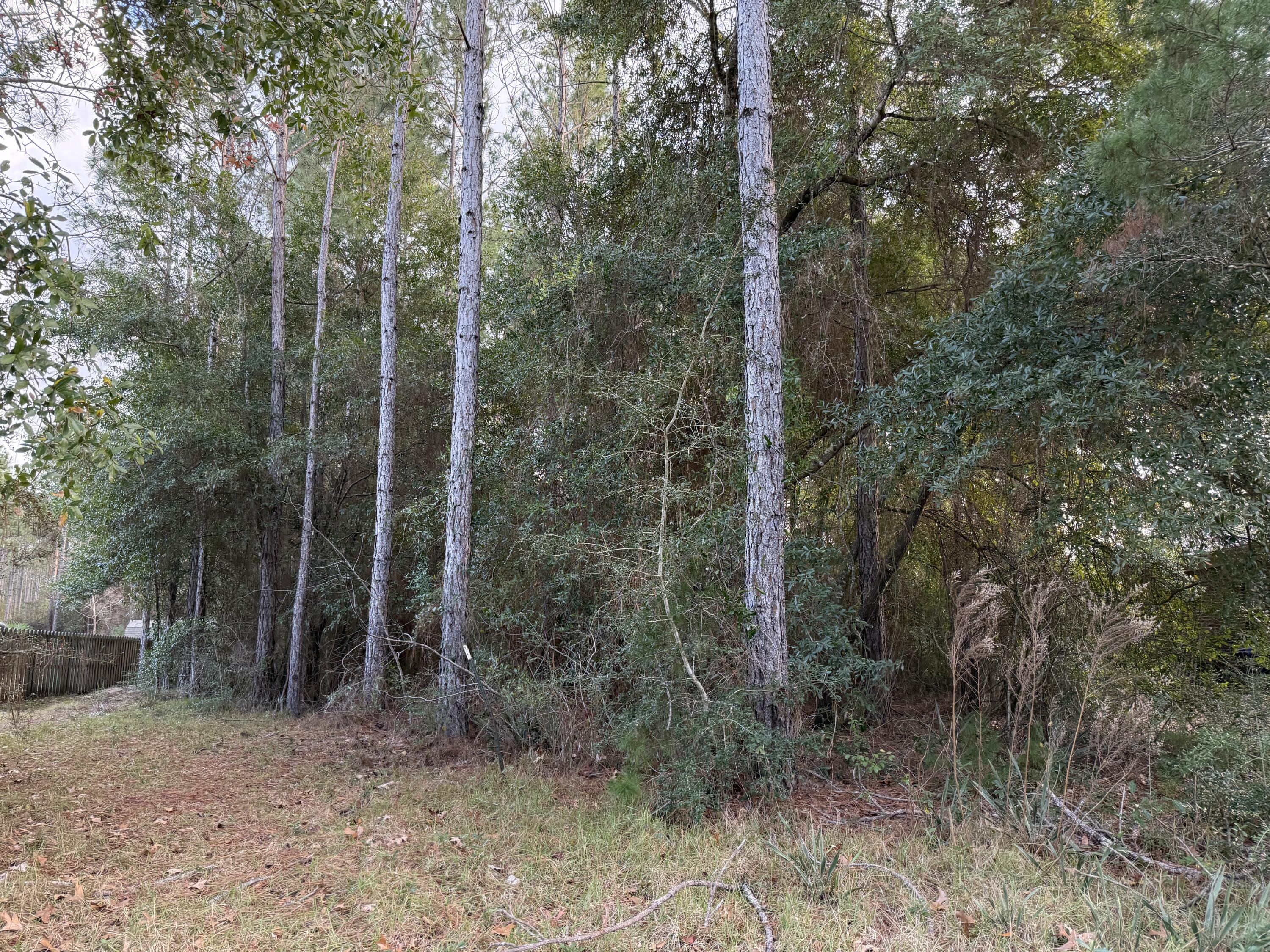 HAMMOCK BAY - Land