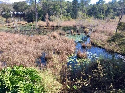Blue water Bay - Residential Lease