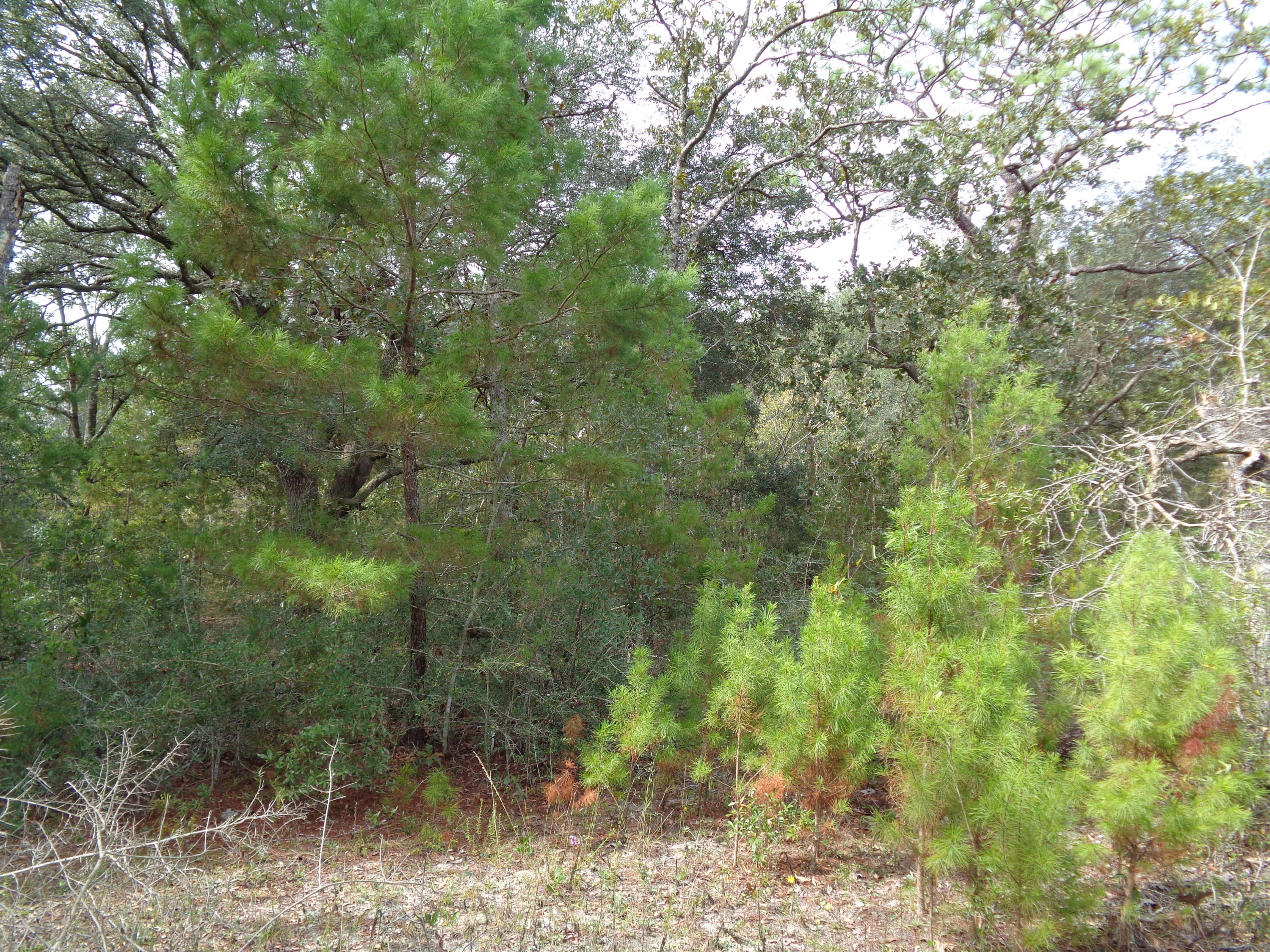 LAKE TANTARA 3 - Land