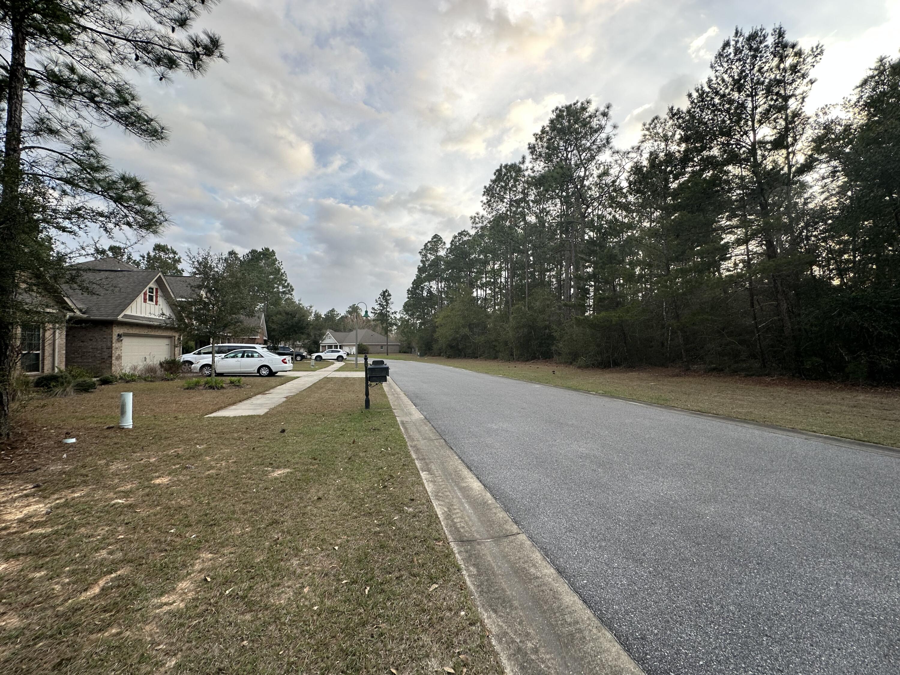 HAMMOCK BAY - Land