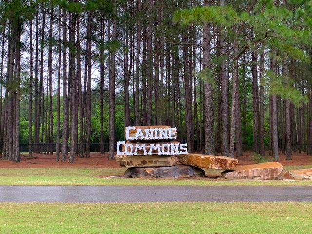 HAMMOCK BAY - Land