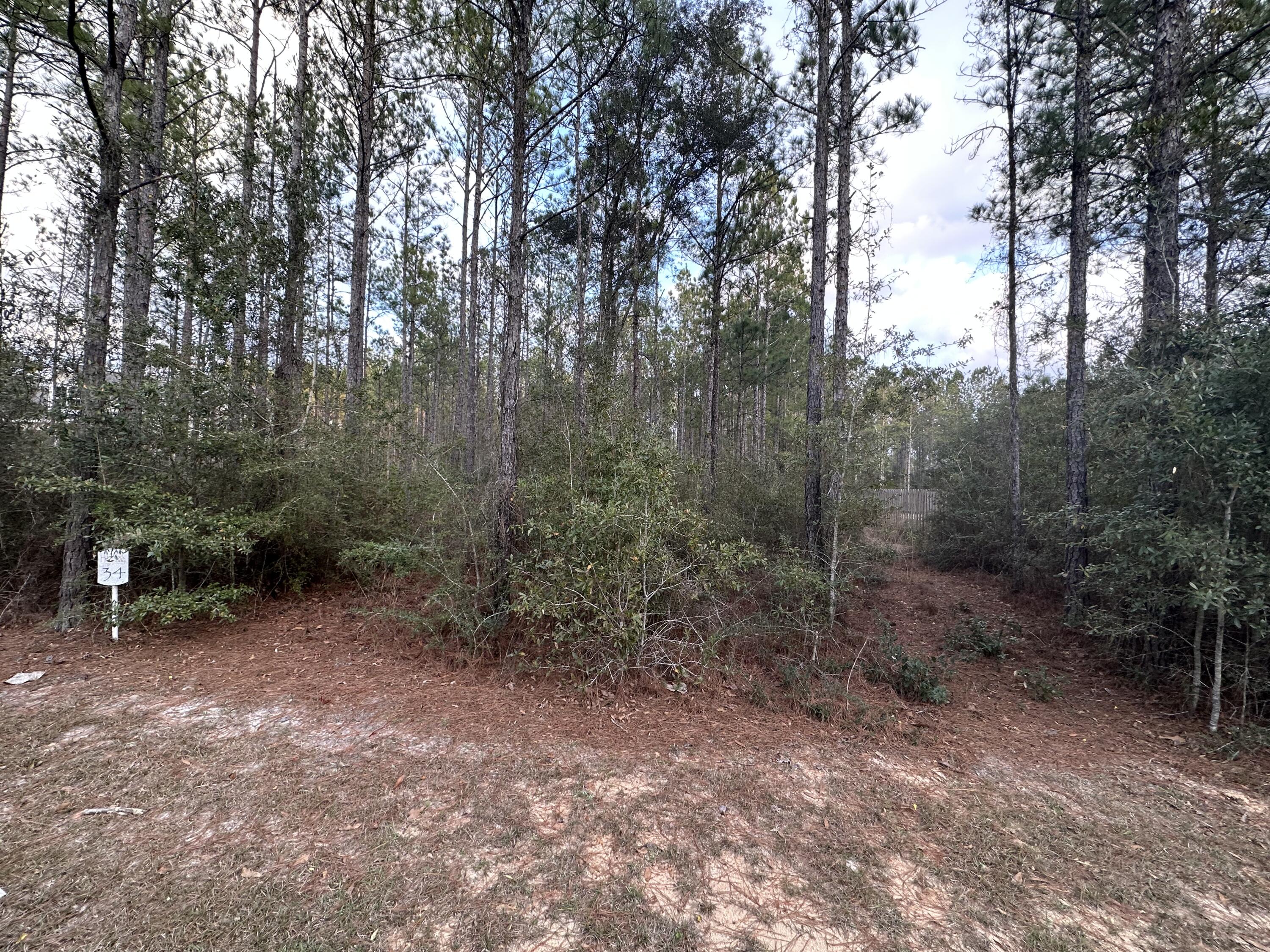 HAMMOCK BAY - Land
