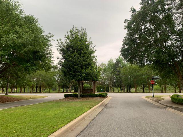 HAMMOCK BAY - Land