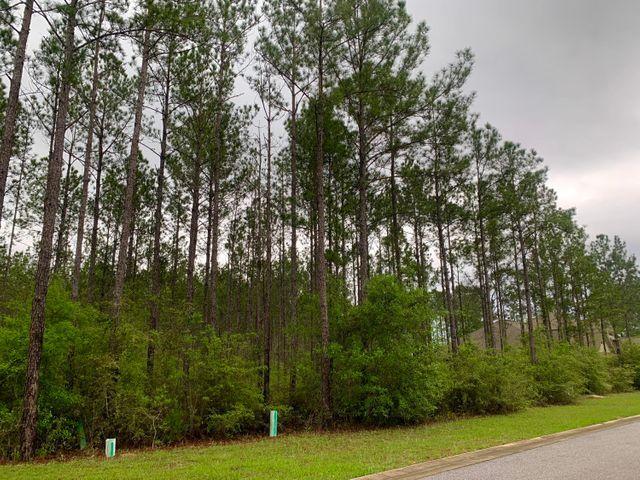 HAMMOCK BAY - Land