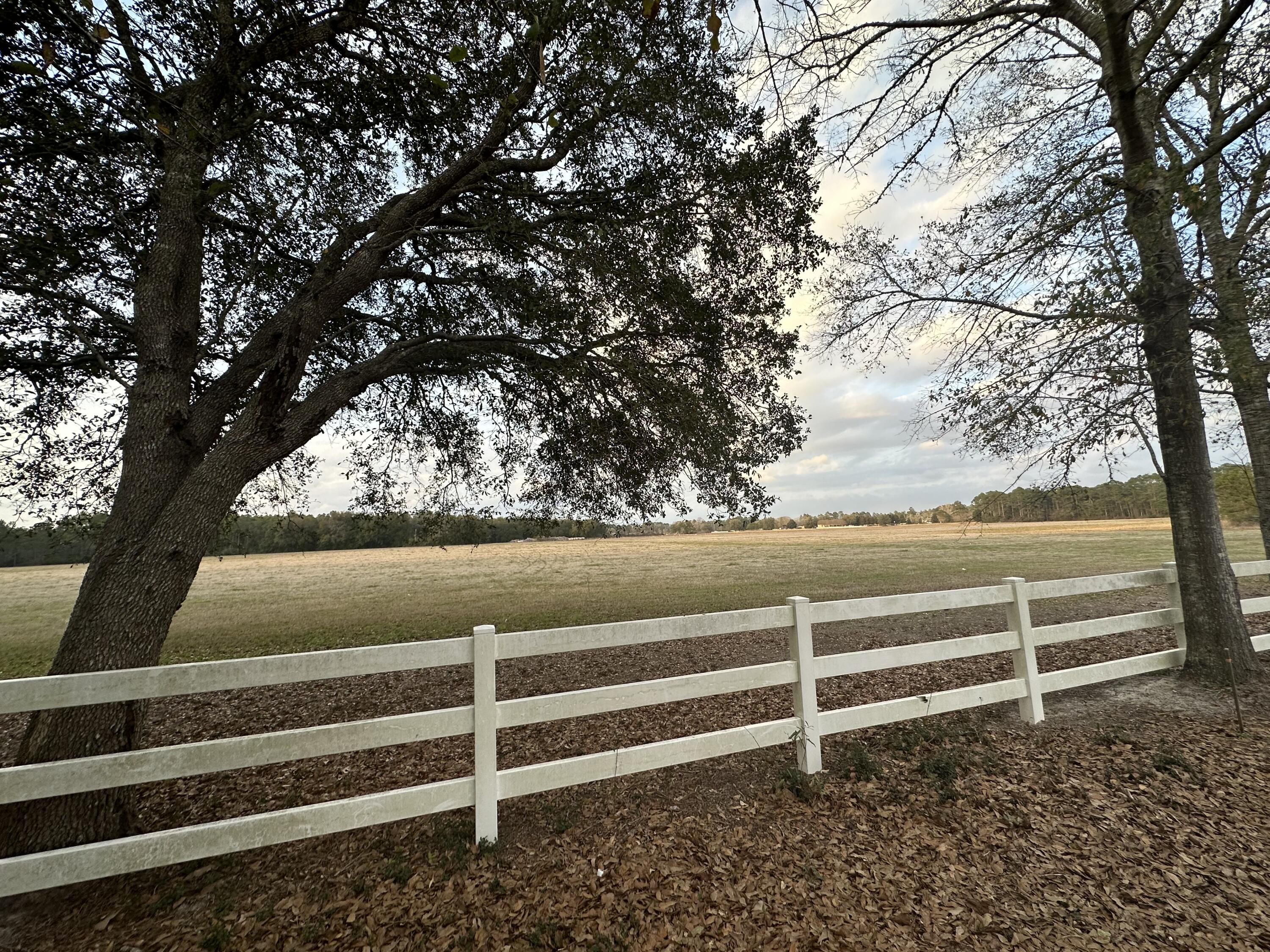 HAMMOCK BAY - Land