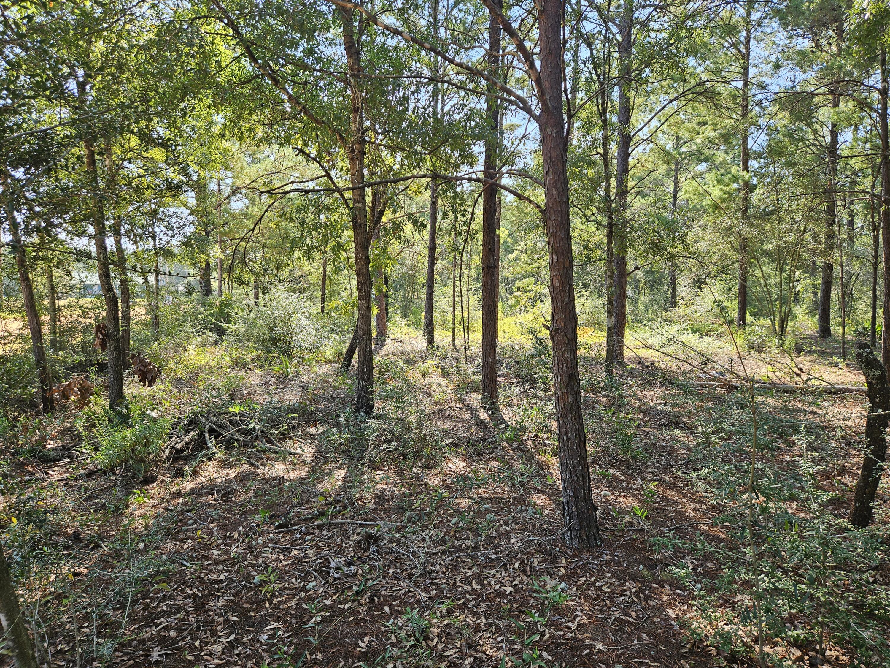 OAKWOOD HILLS UNIT 1 - Land