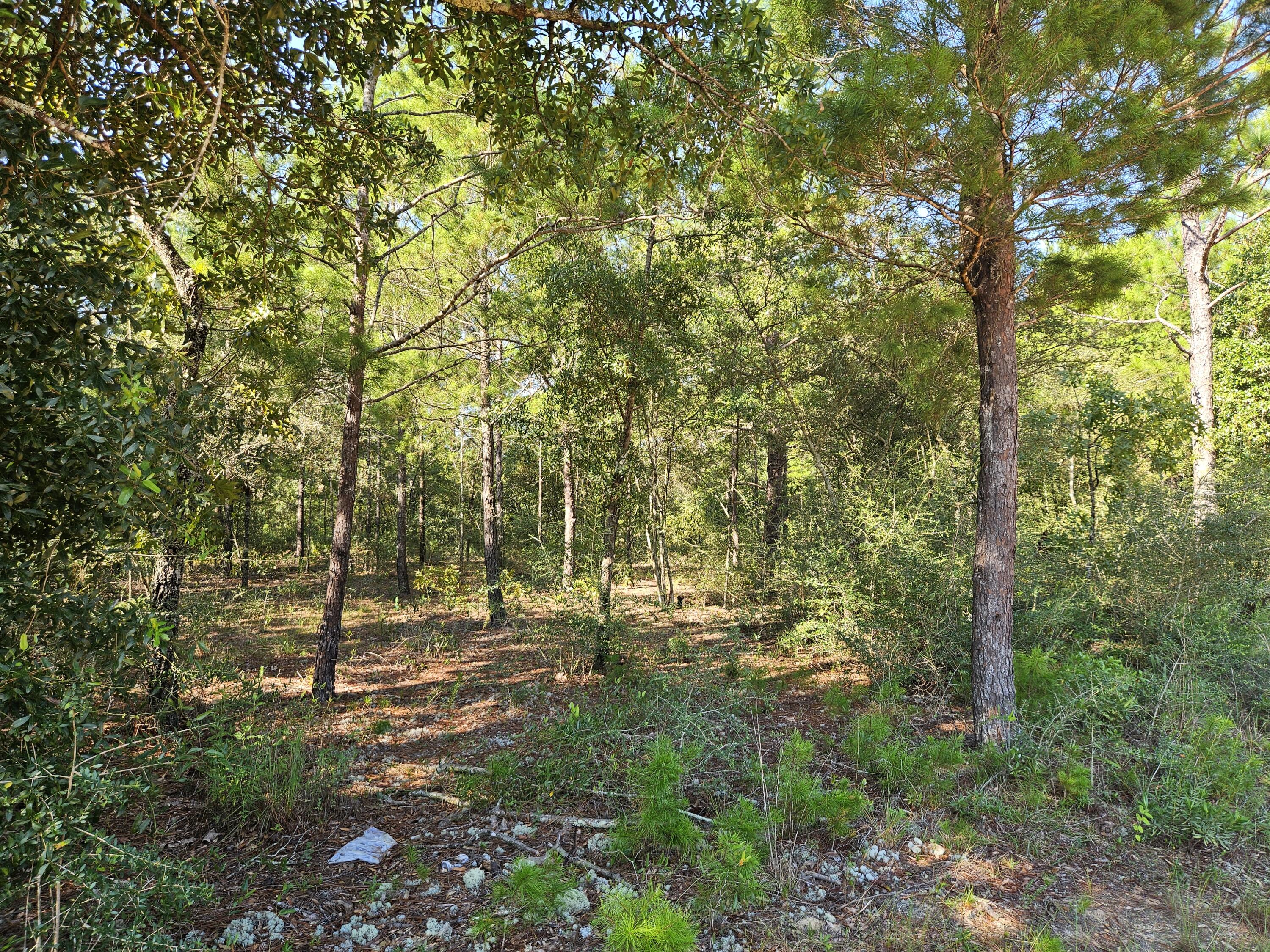 OAKWOOD HILLS UNIT 1 - Land