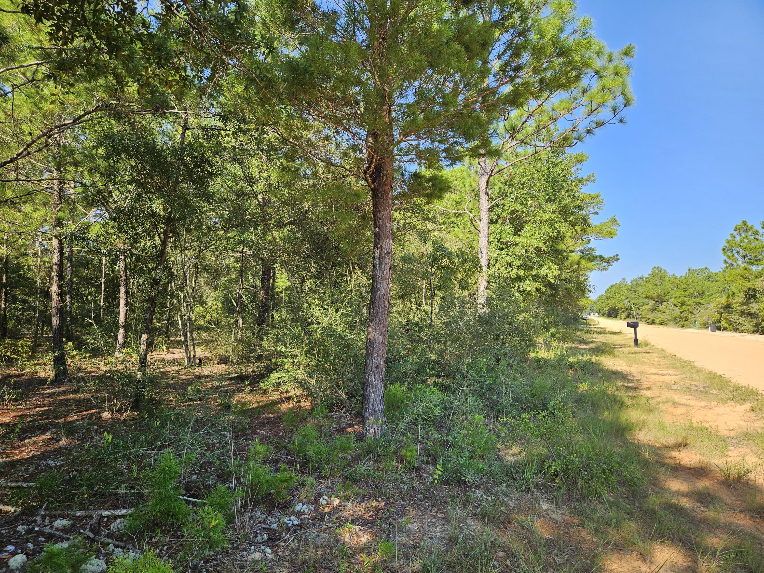 OAKWOOD HILLS UNIT 1 - Land