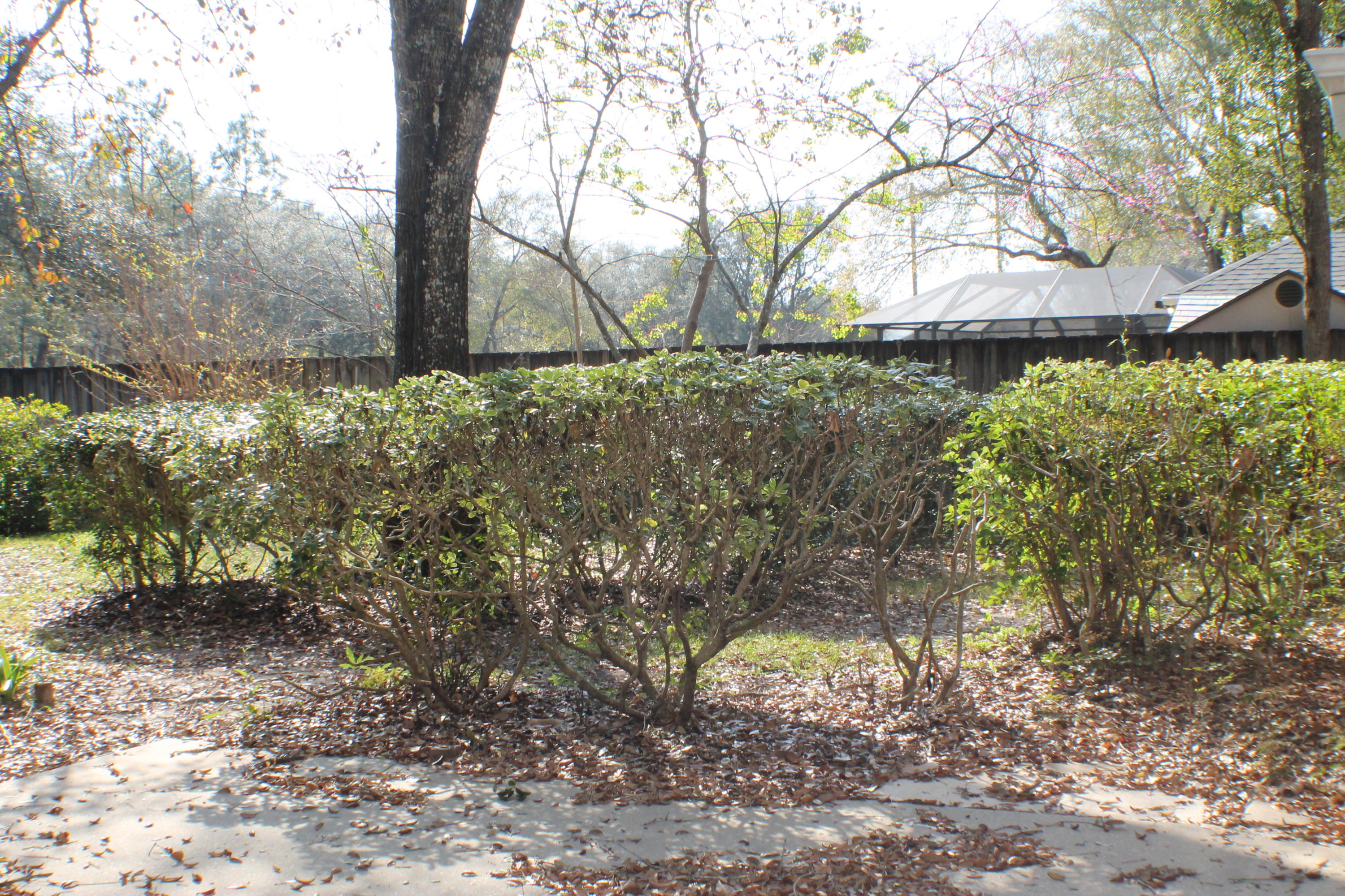 ROYAL OAKS S/D - Residential Lease