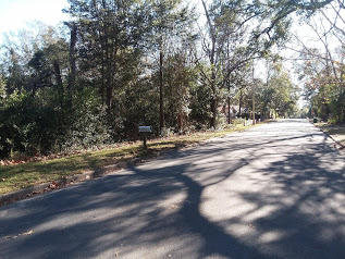 Builder Alert.....Great corner lot with .66 acres Level and very nice trees on site. Paved streets, city sewer and water tap in place. May be possible to subdivide. Please confirm your project with zoning.