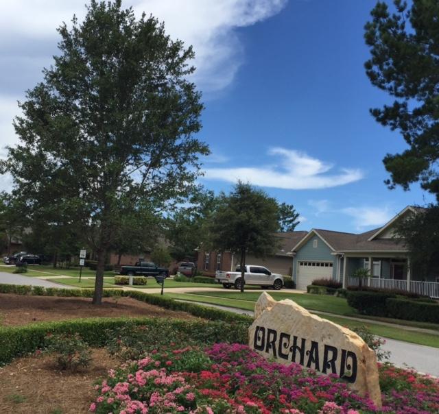 HAMMOCK BAY - Land