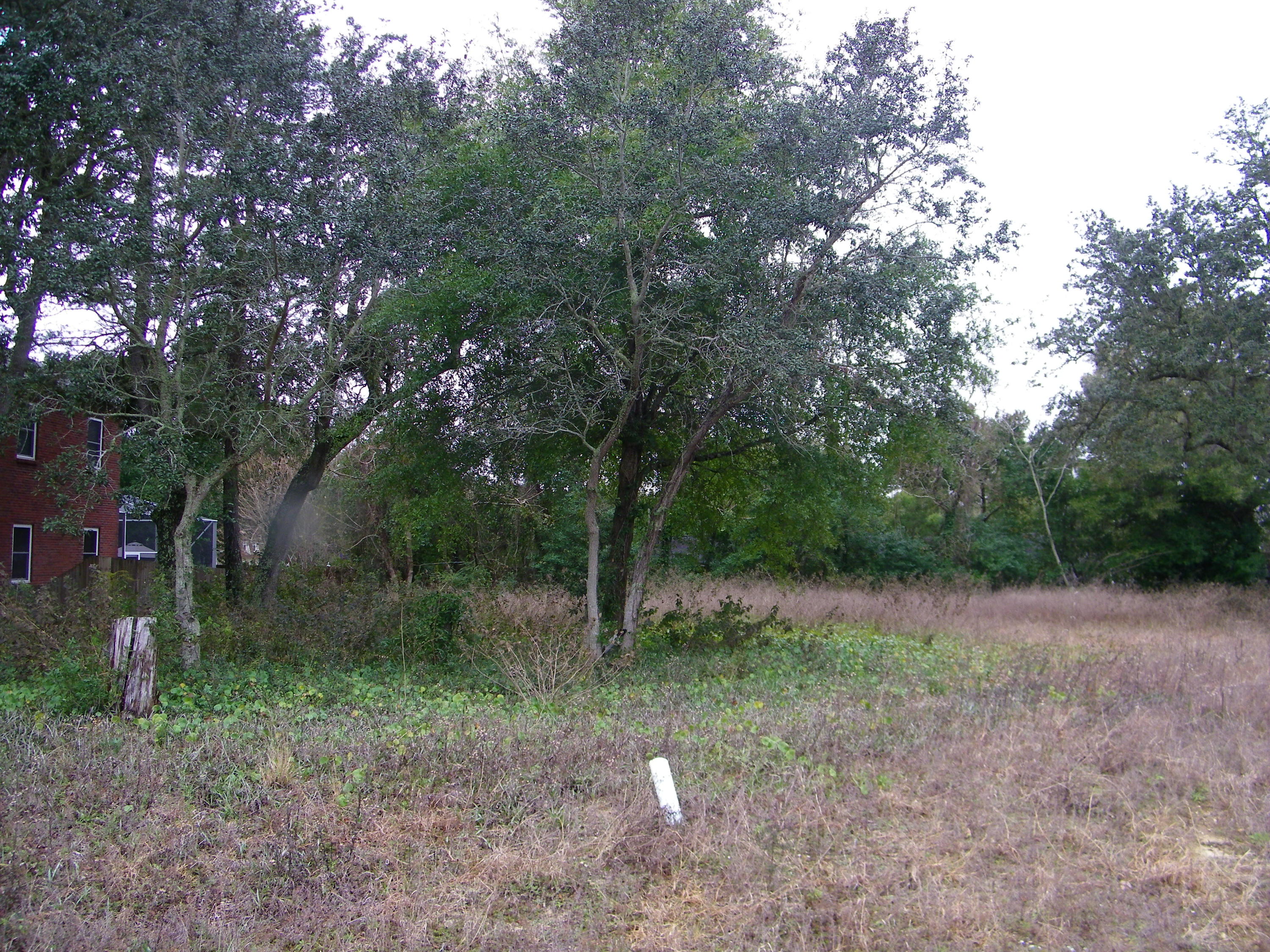 CINCO RIDGE ESTATES - Land