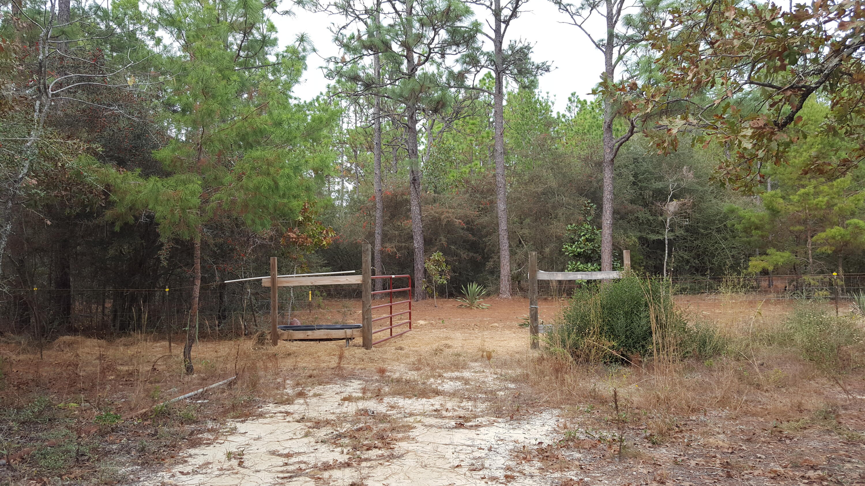 Delaware Plantation - Residential Lease