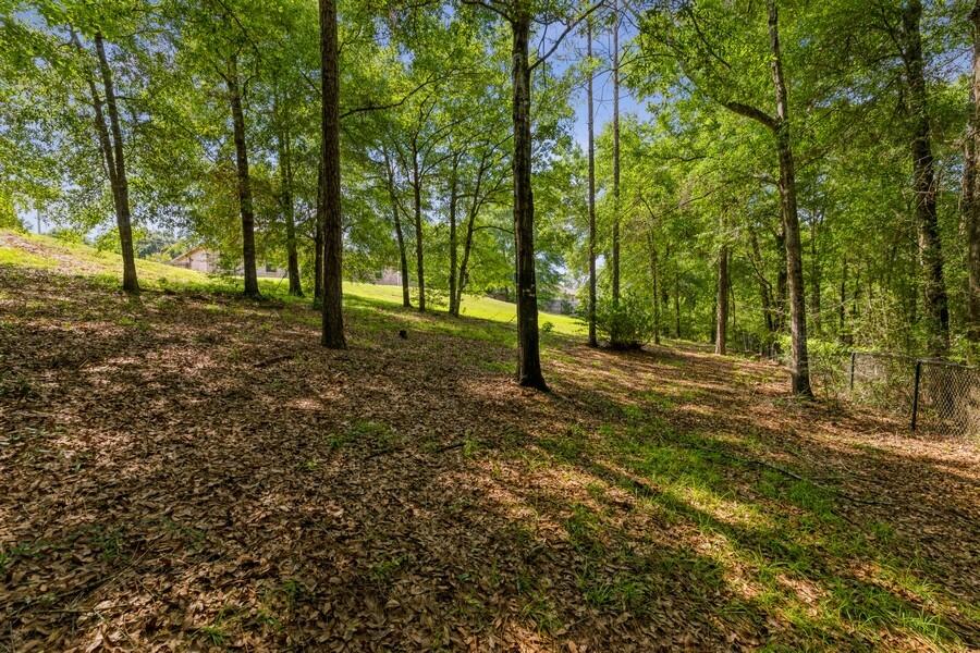 SILVER SPRINGS EST - Residential