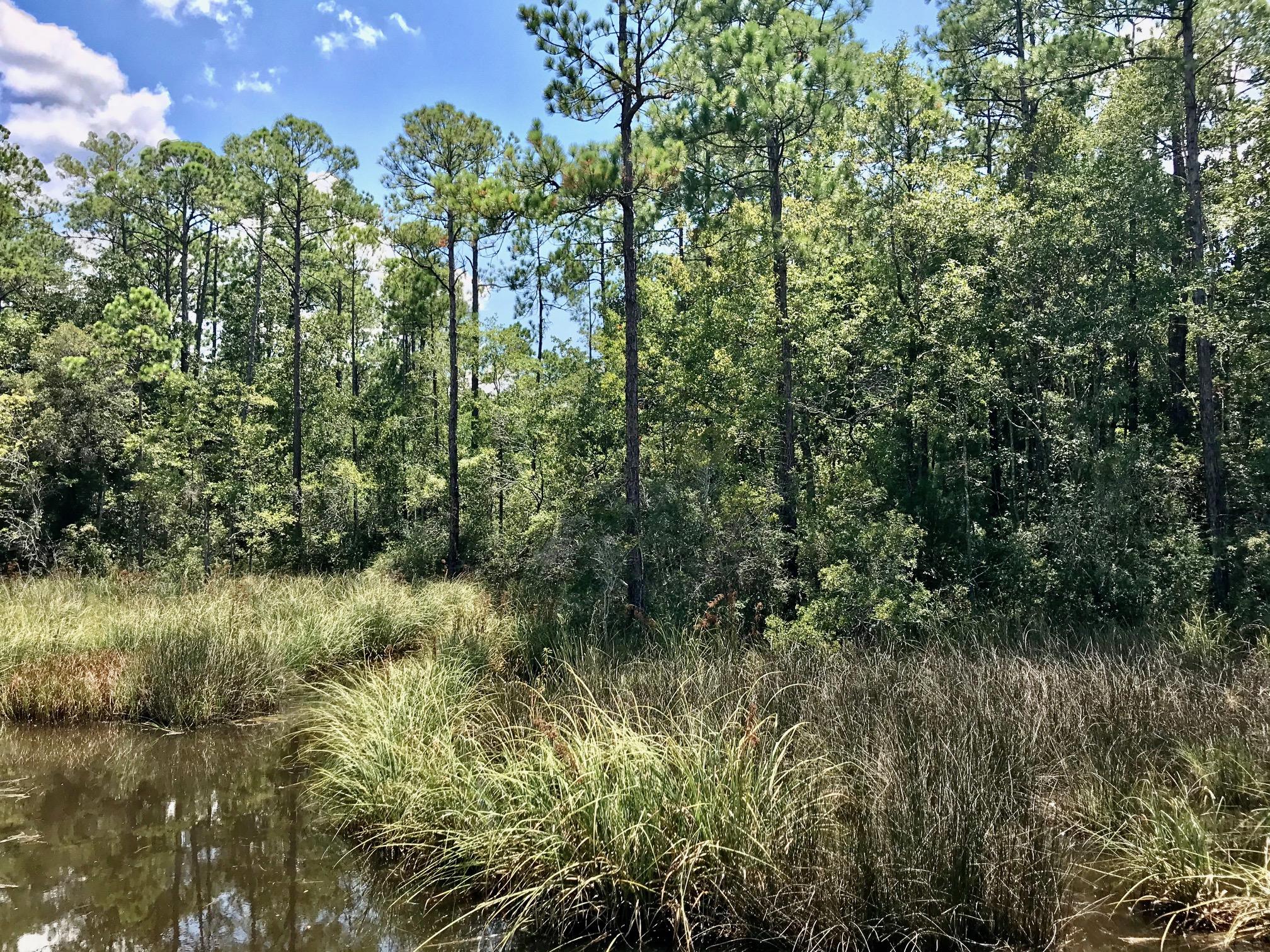 EMERALD SHORES - Land