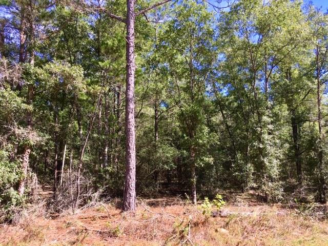 COUNTRY MANOR ESTATES - Land