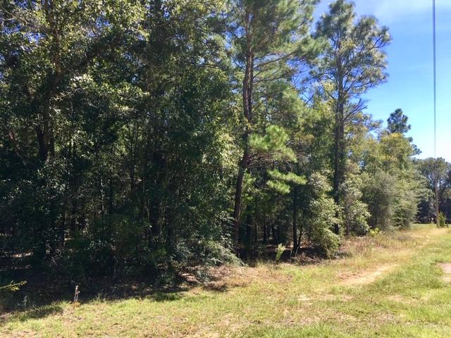 COUNTRY MANOR ESTATES - Land