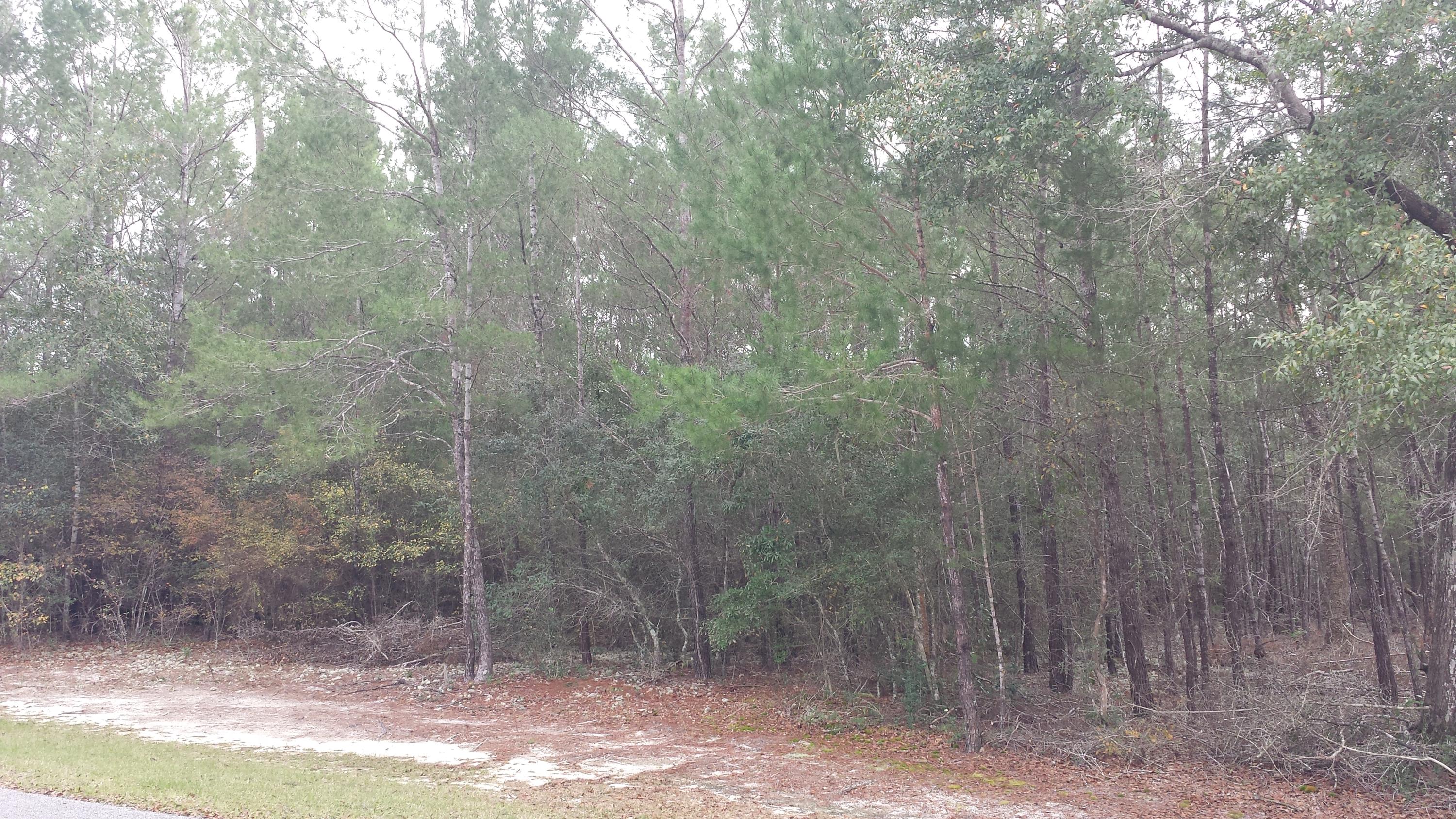 Magnolia Landing - Land
