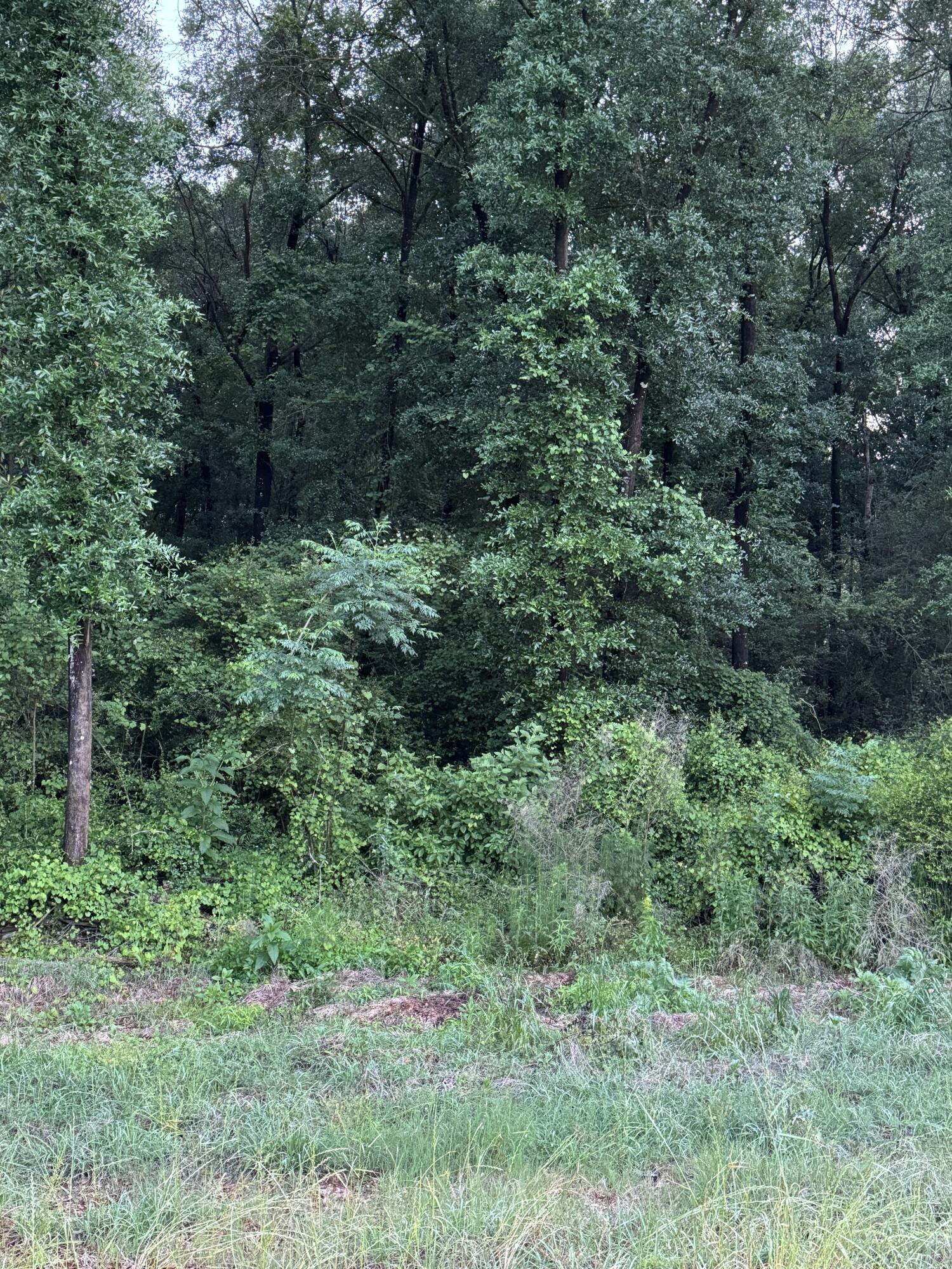 SEACOAST ESTATES - Land