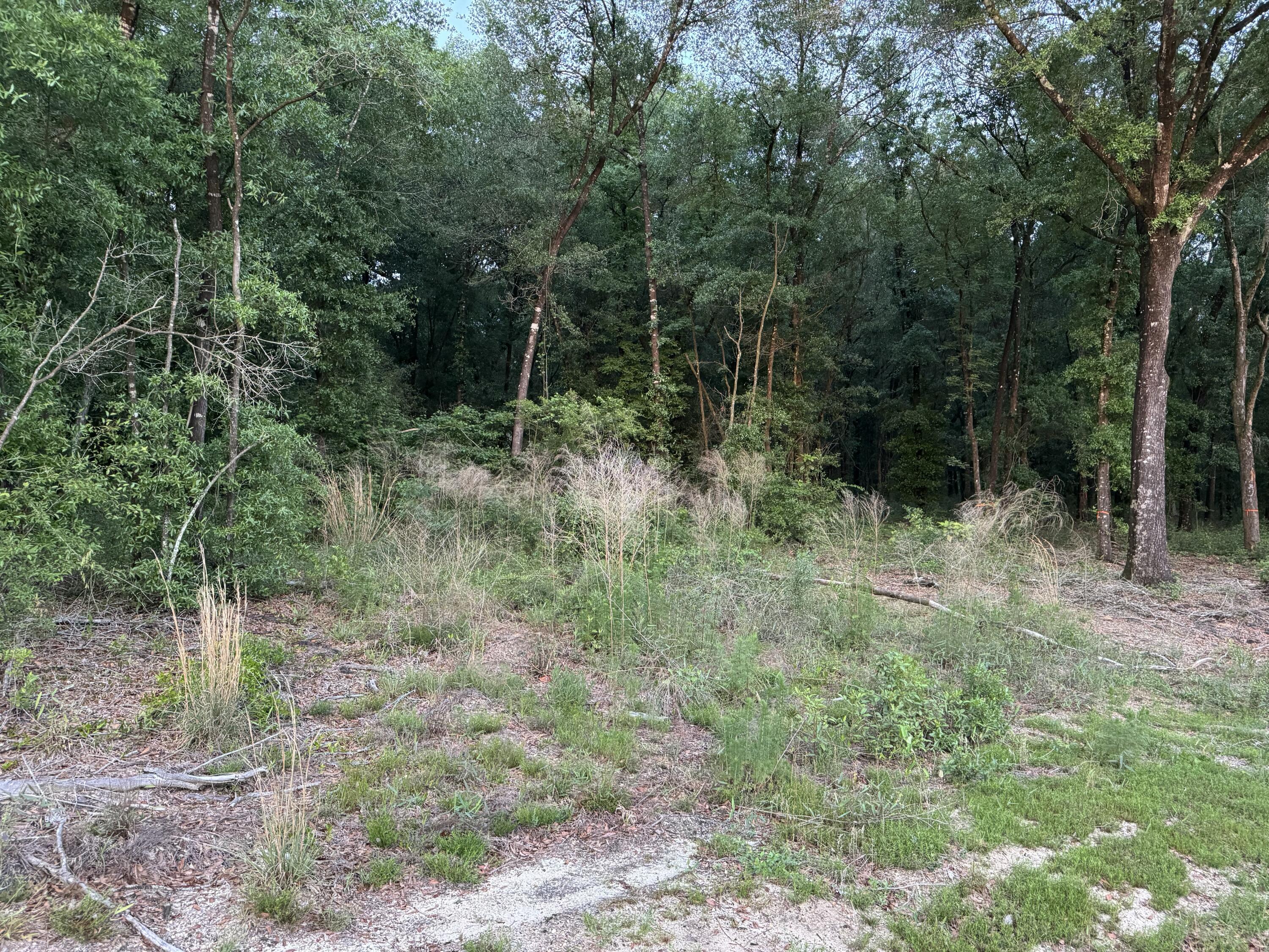 SEACOAST ESTATES - Land